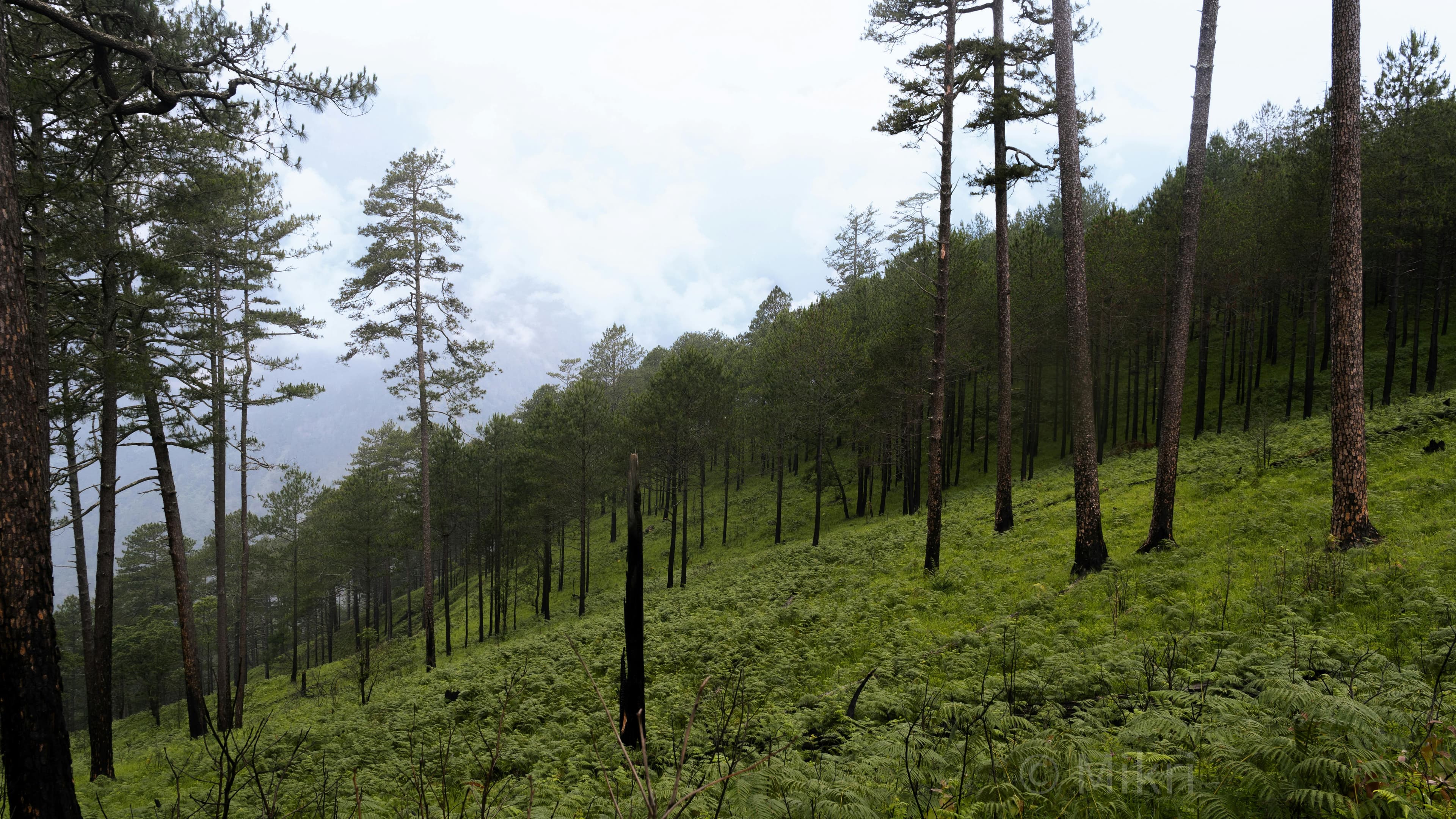 Arunachal Nature & Culture: Bhalukpong to Tawang – 10D/9N slide 1