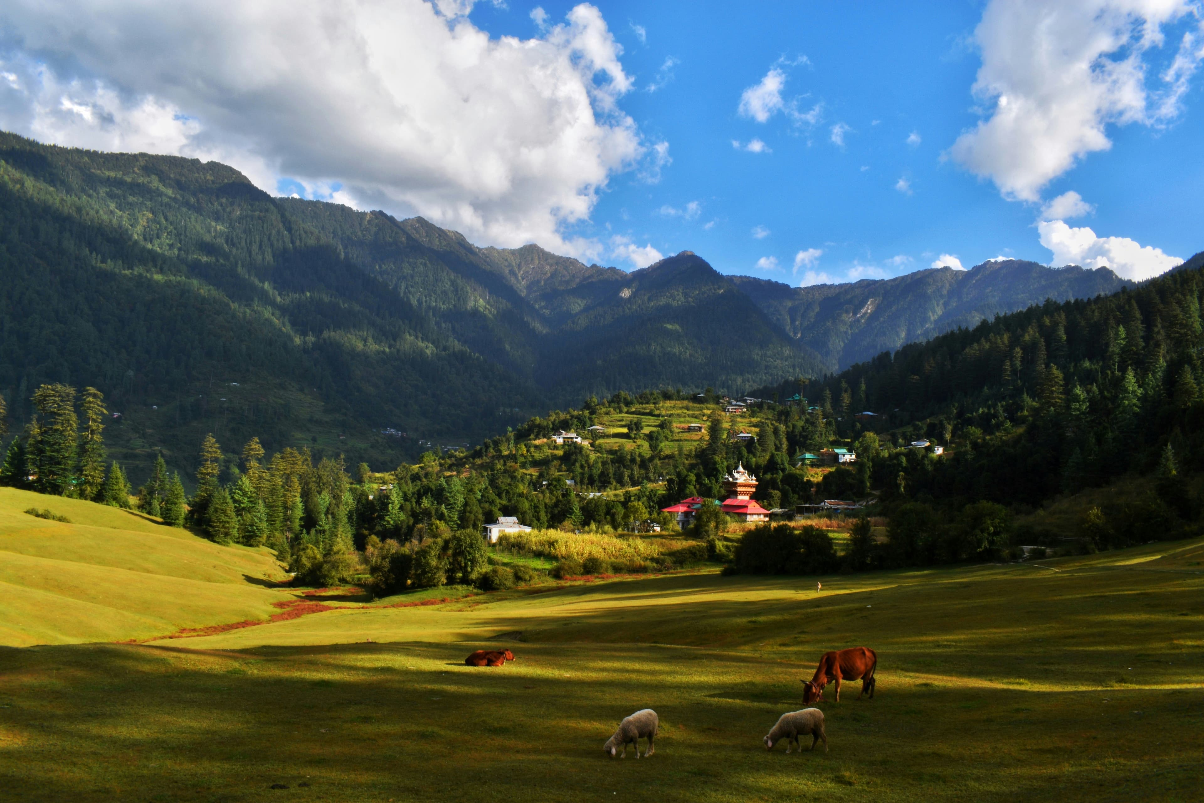 Himachal Hill Stations & Adventure: Shimla & Manali – 6D/5N slide 5