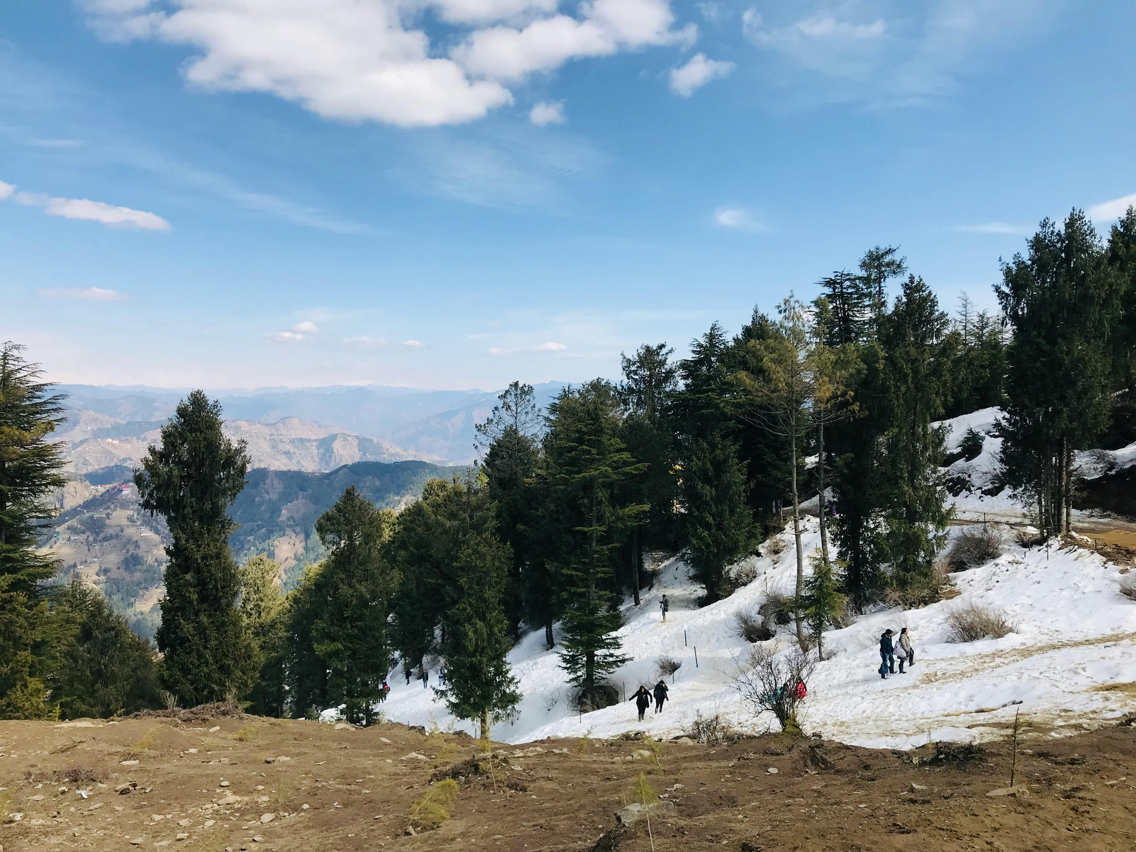Kufri & Local Sightseeing