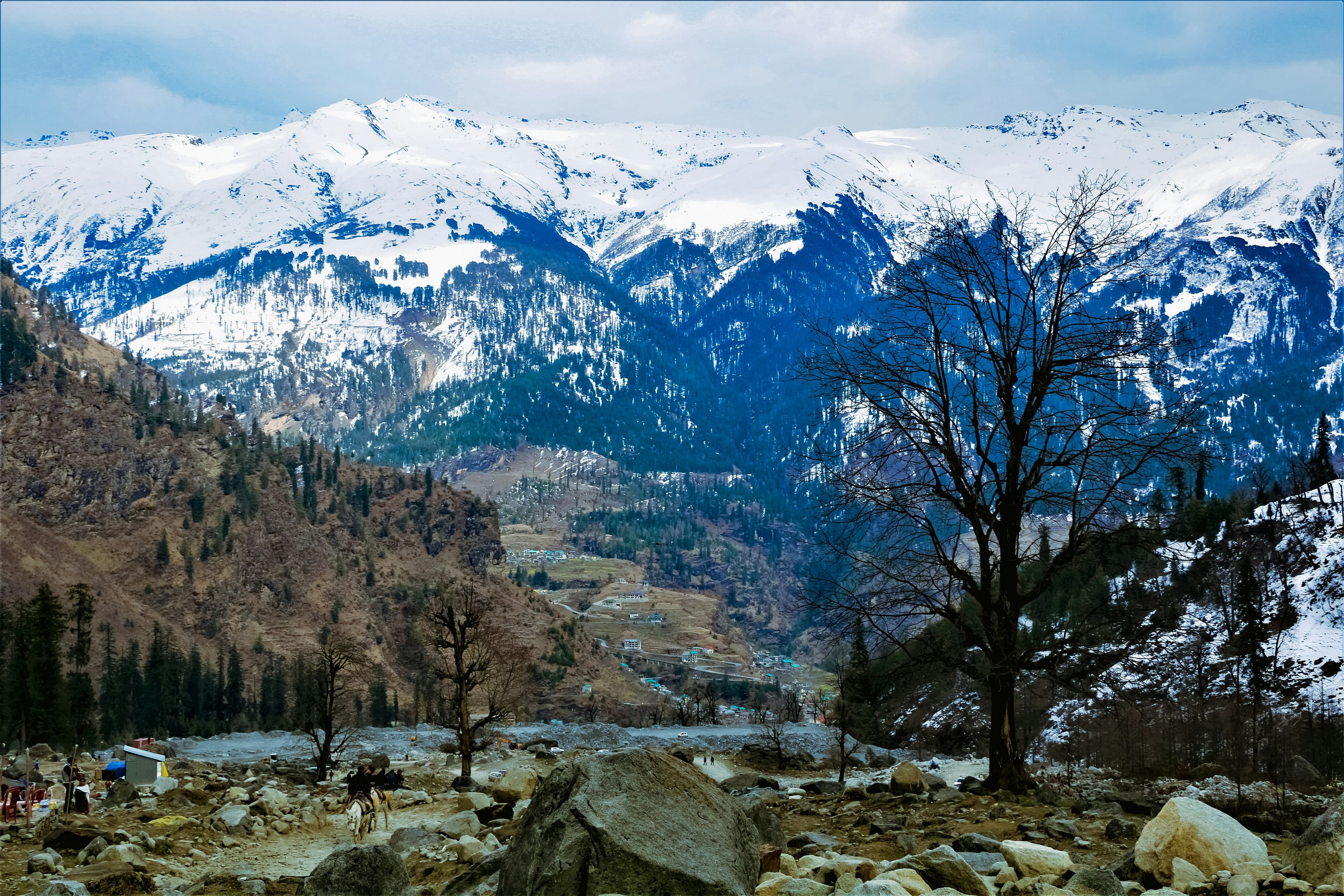 Solang Valley / Atal Tunnel / Snow Adventure