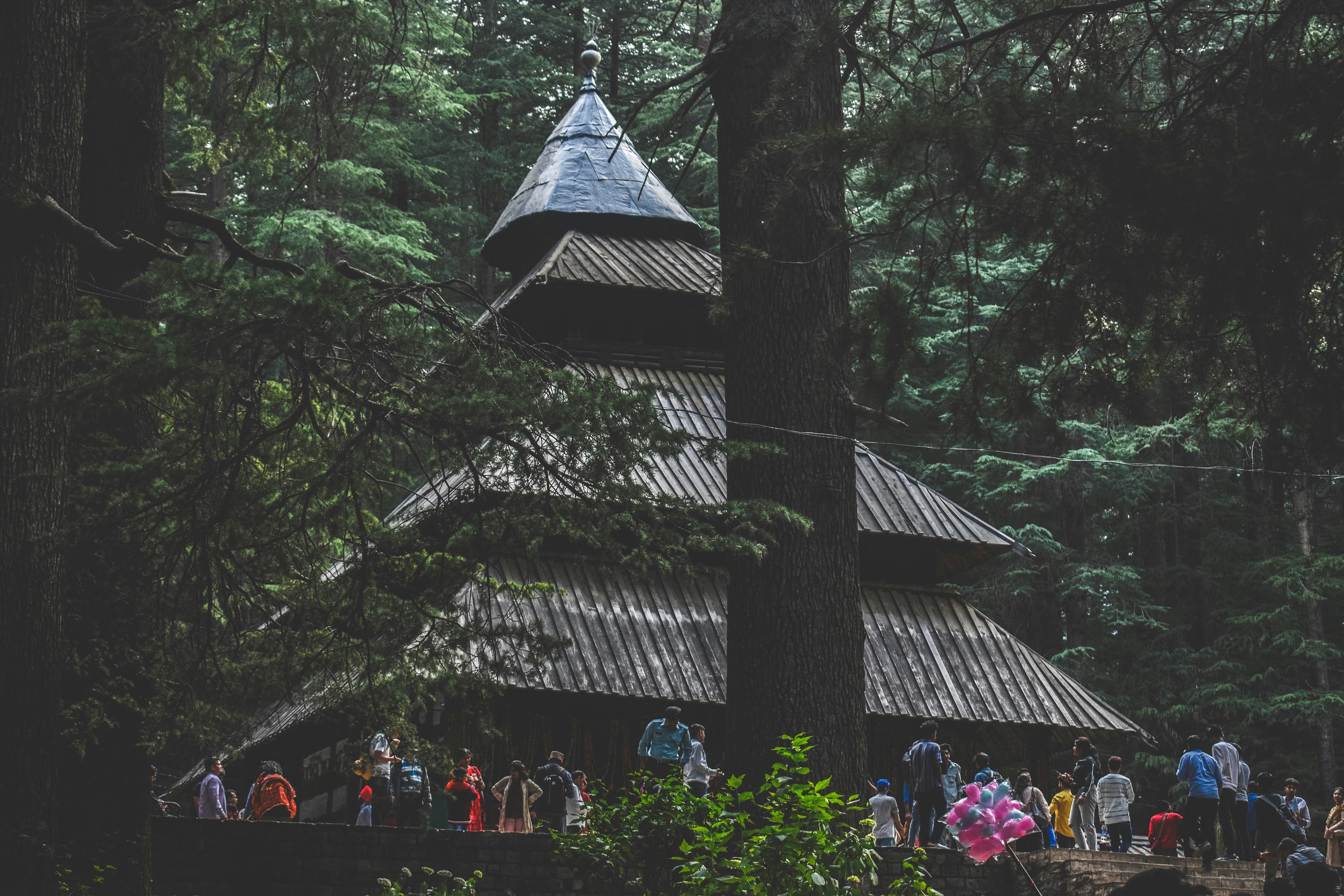 Local Manali Sightseeing