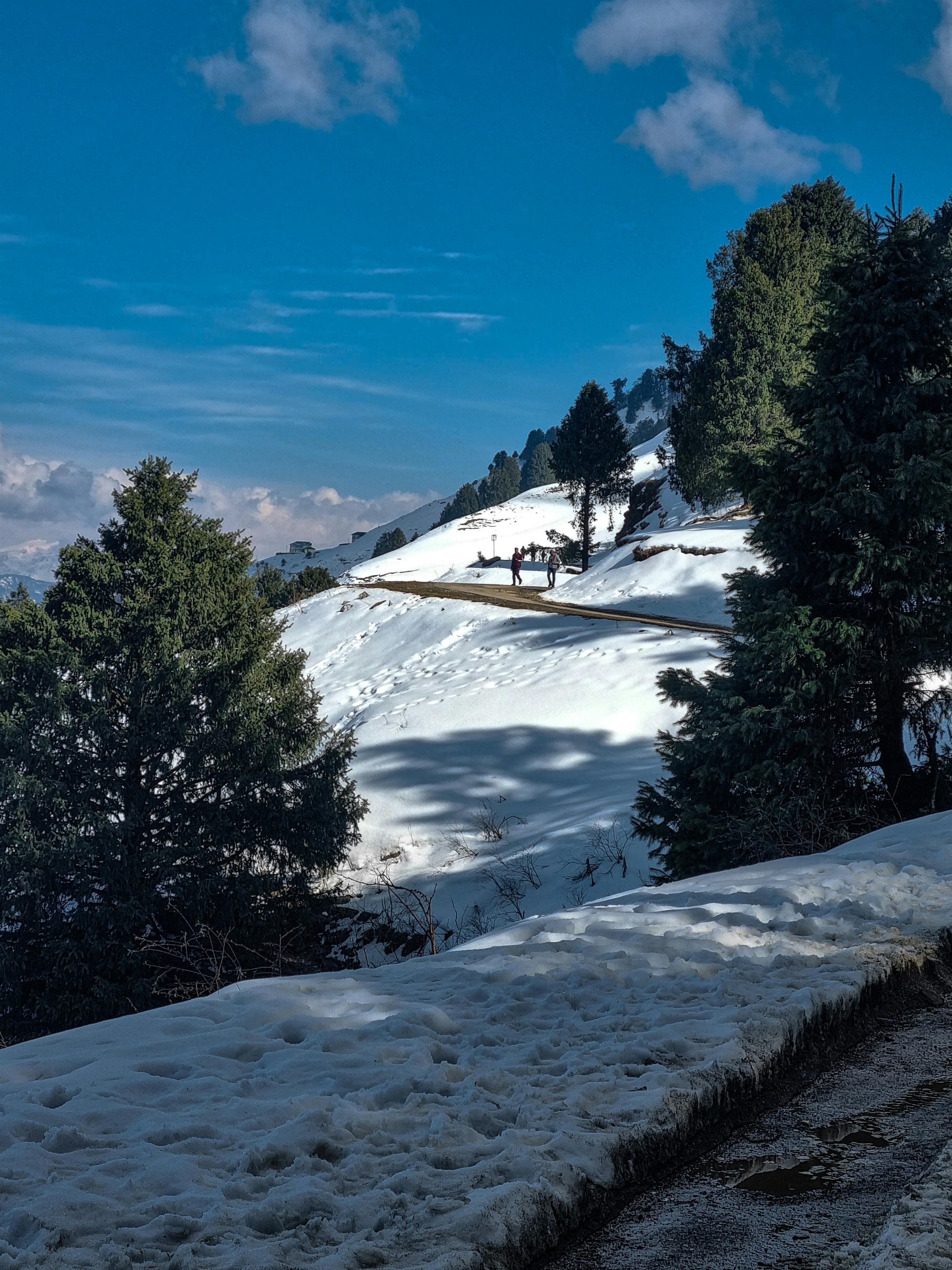 Romantic Honeymoon: Shimla & Manali slide 1