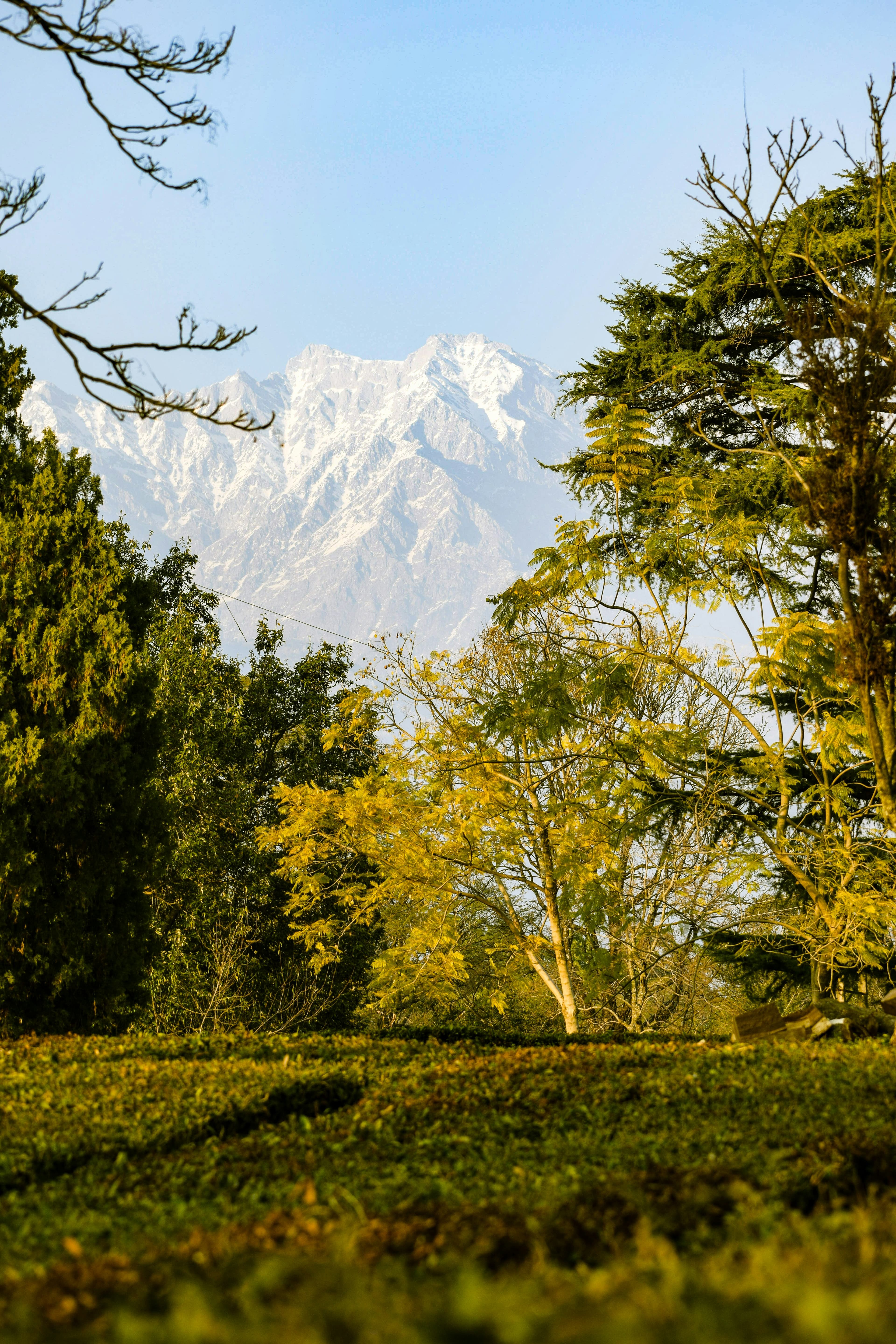 Hampta Pass Extended Adventure Trek – 7D/6N slide 4