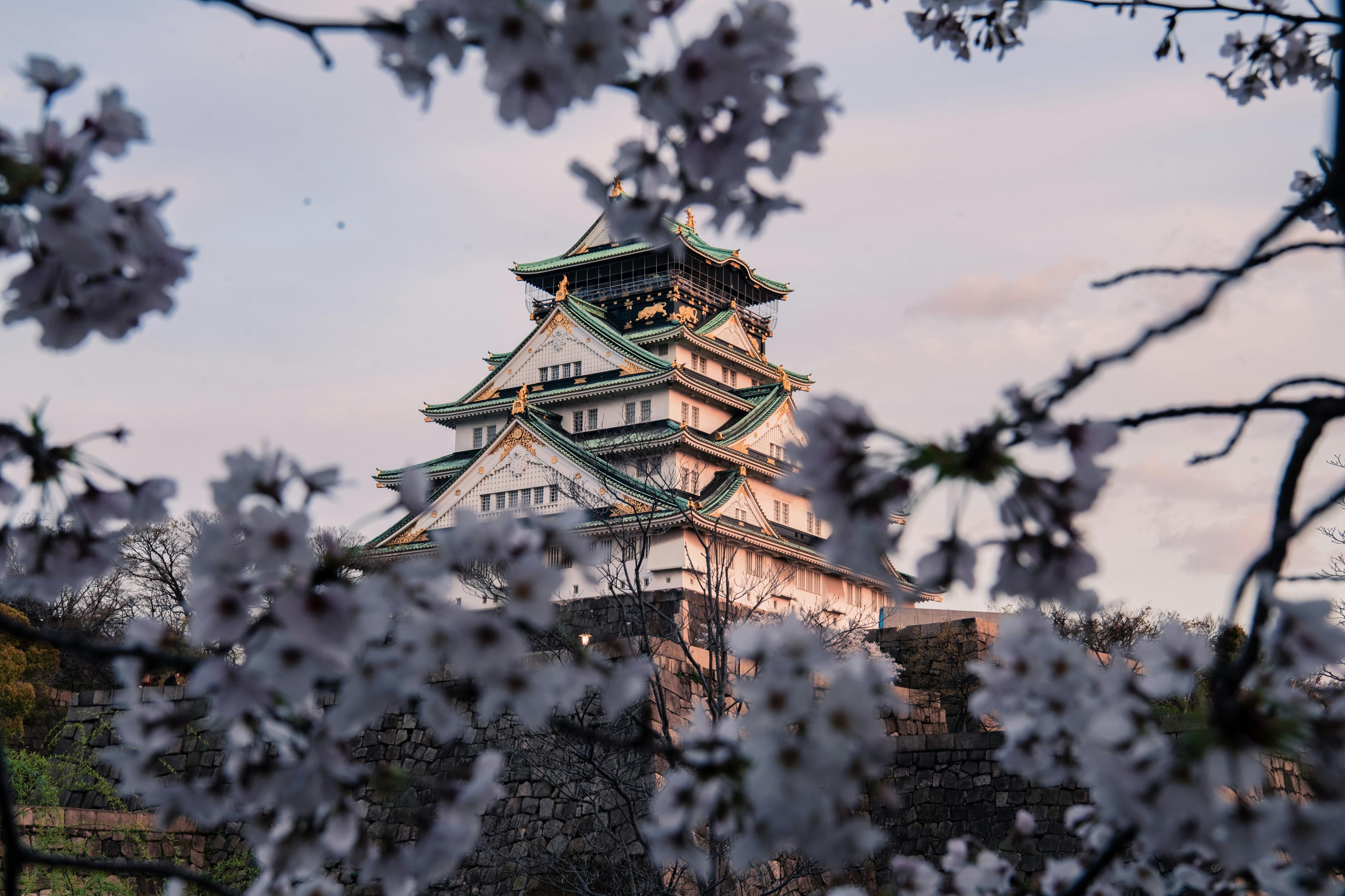 Japan Family Adventure – Tokyo to Osaka slide 1
