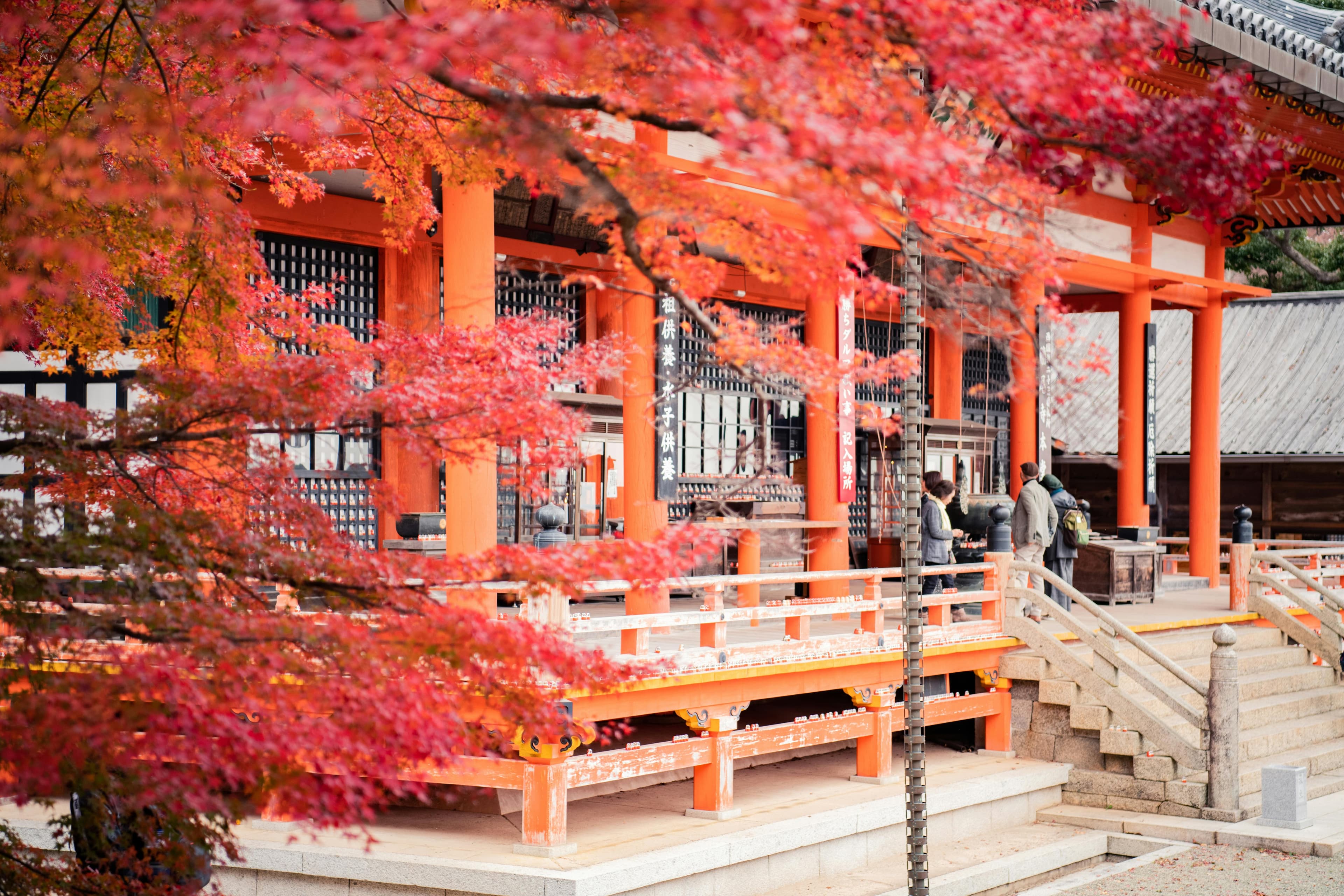Japan Family Adventure – Tokyo to Osaka slide 4