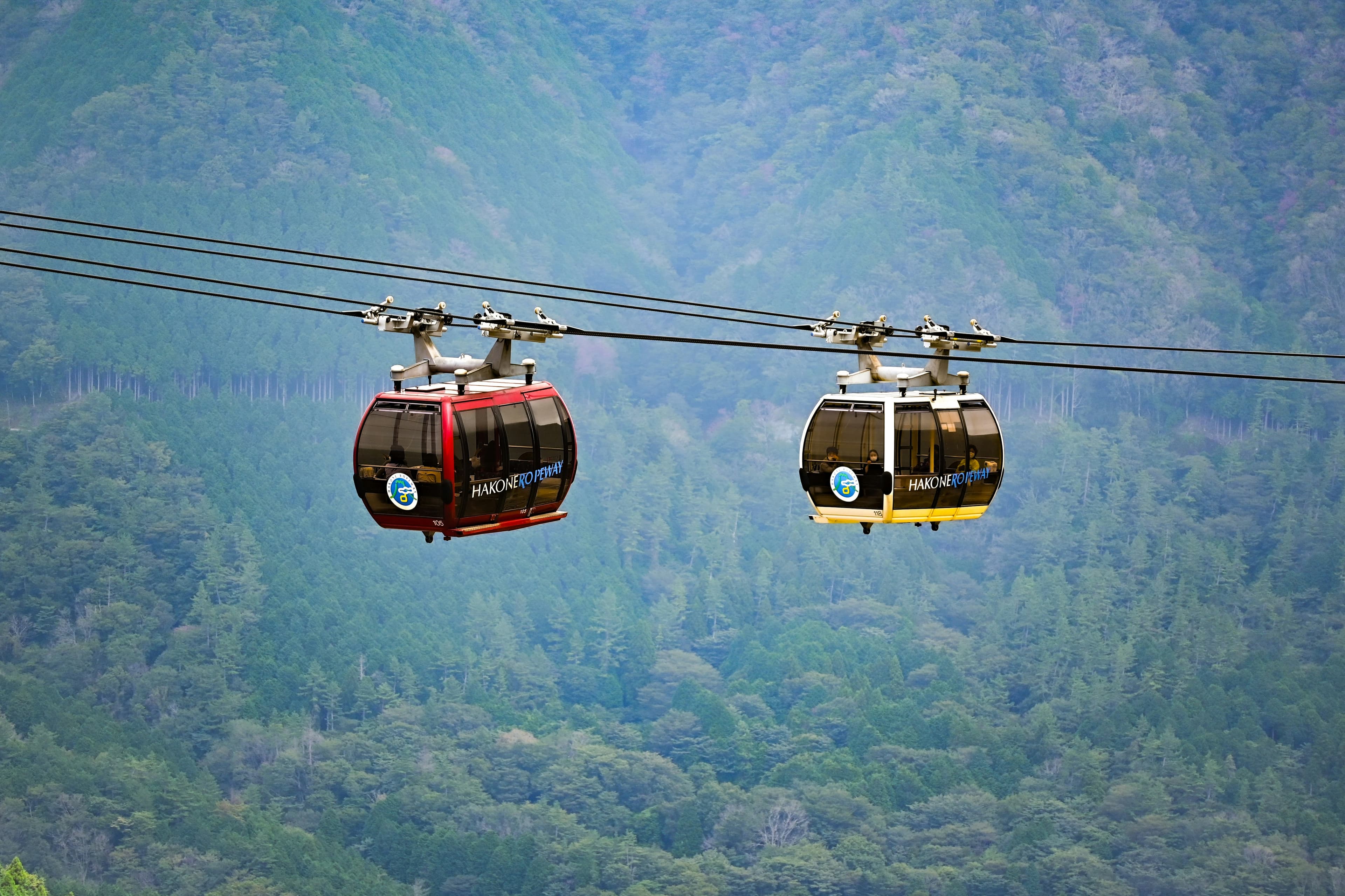 Tokyo ➝ Hakone (Onsen + Nature)