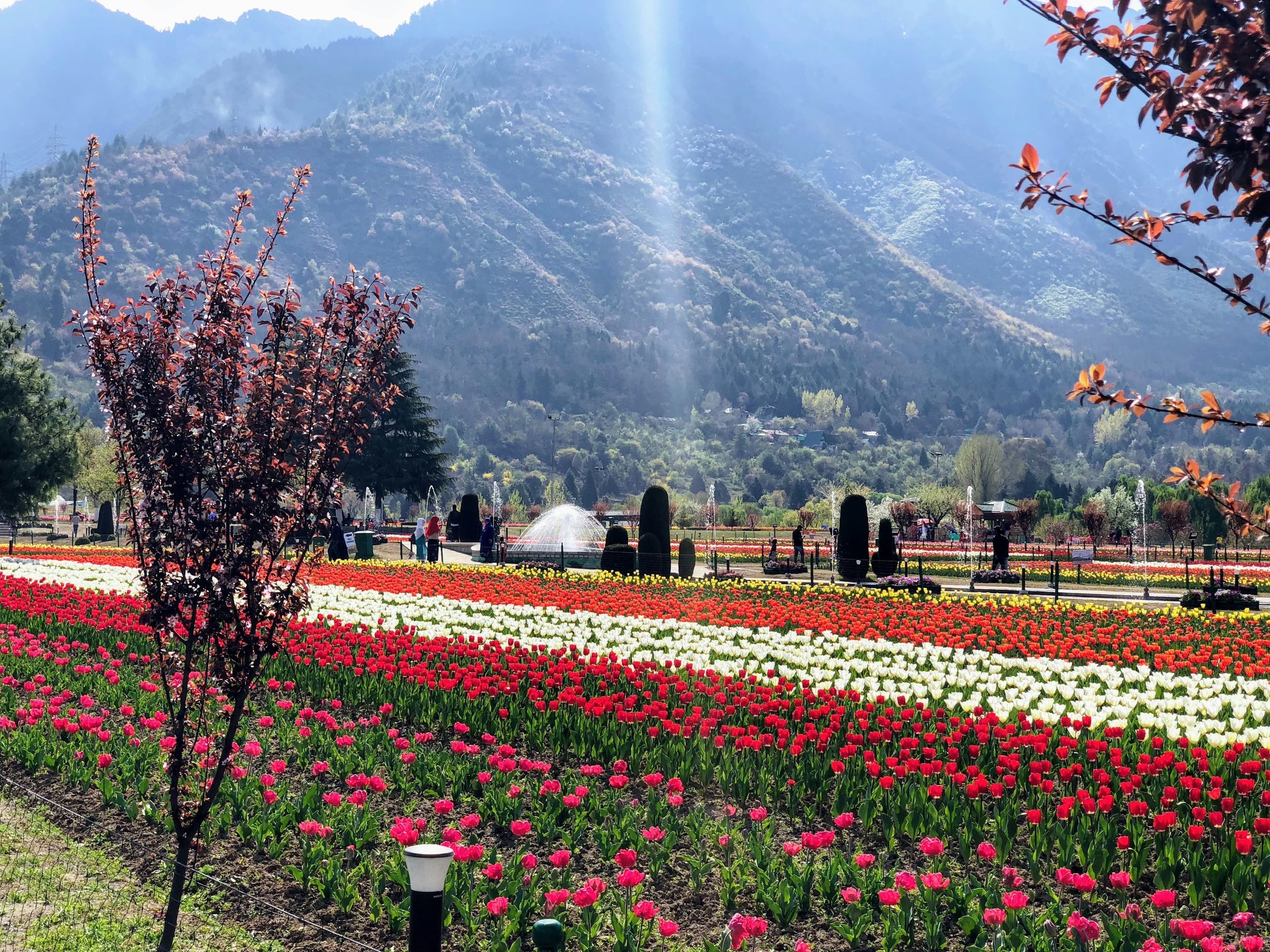 Kashmir Family Itinerary – 7 Days / 6 Nights slide 3