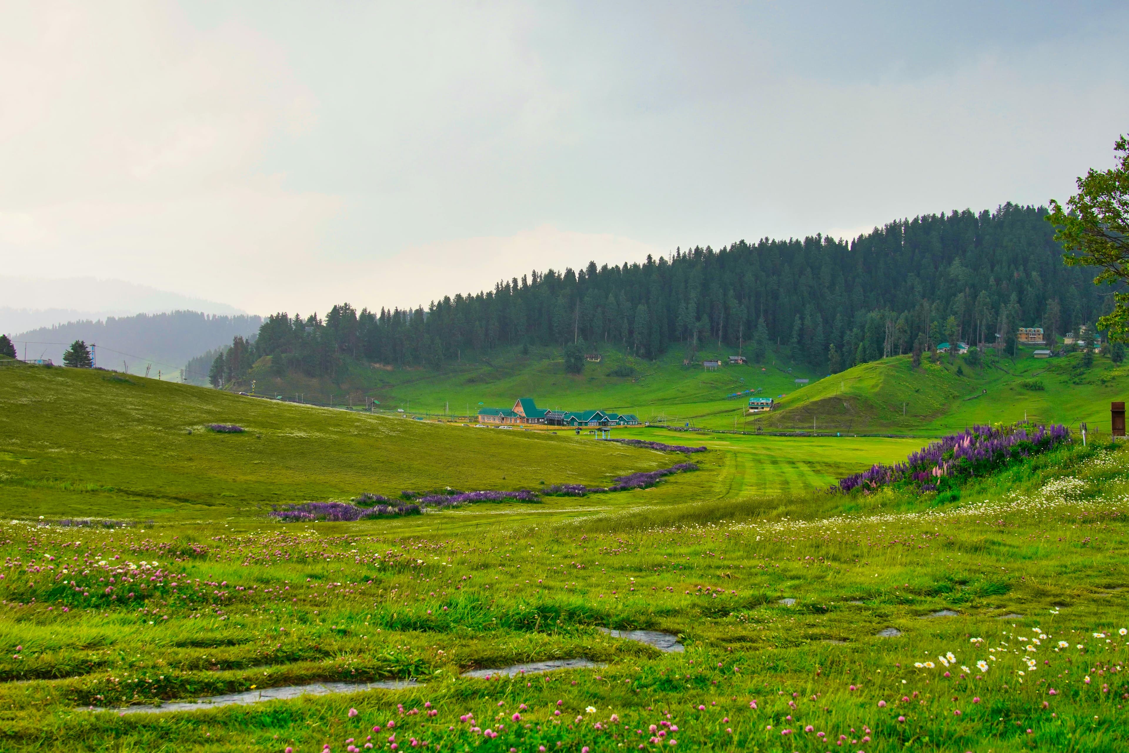 Warwan Valley