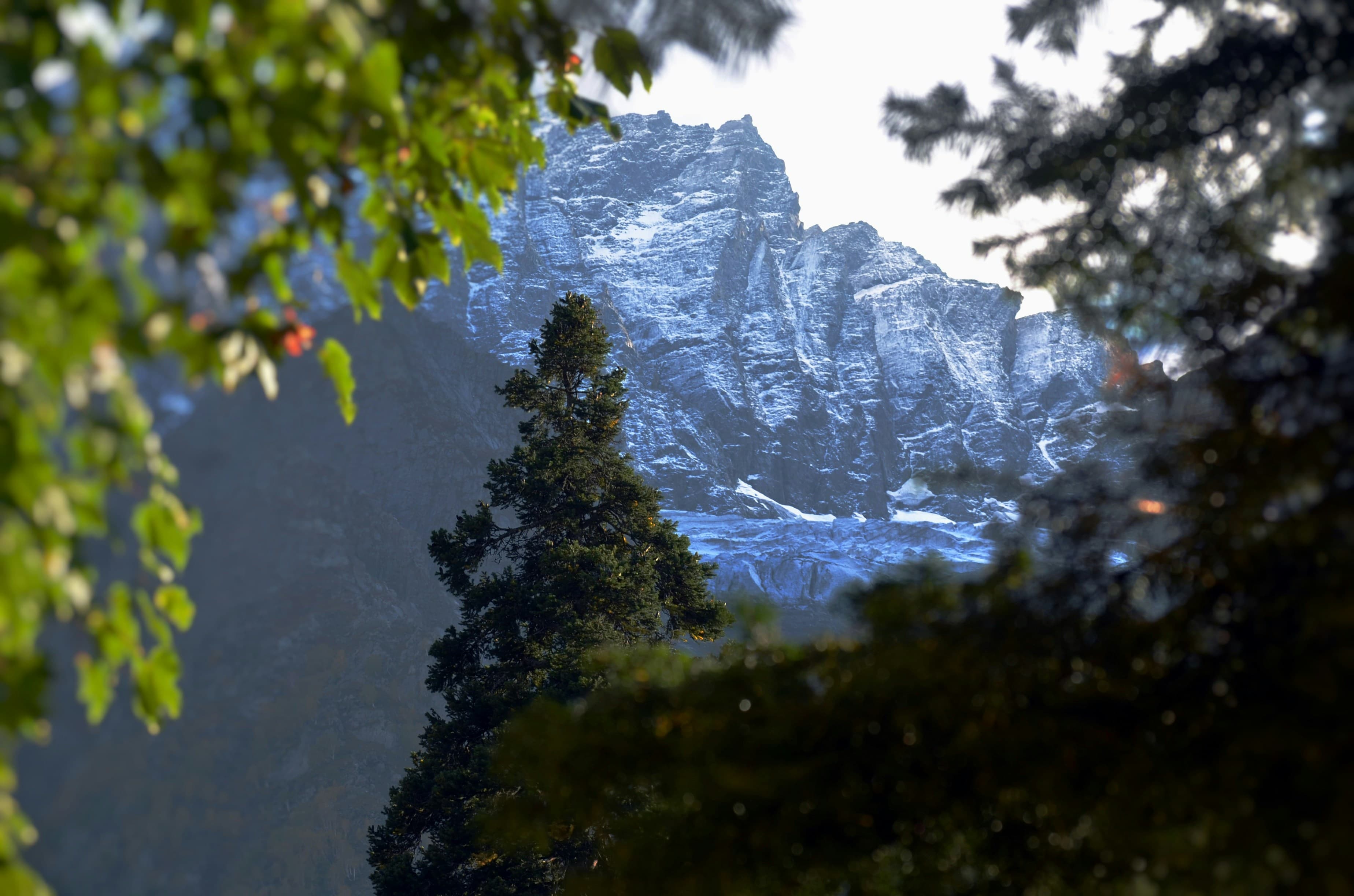 7N/8D Family Itinerary: Jammu, Srinagar, Gulmarg, Pahalgam, Sonmarg slide 1