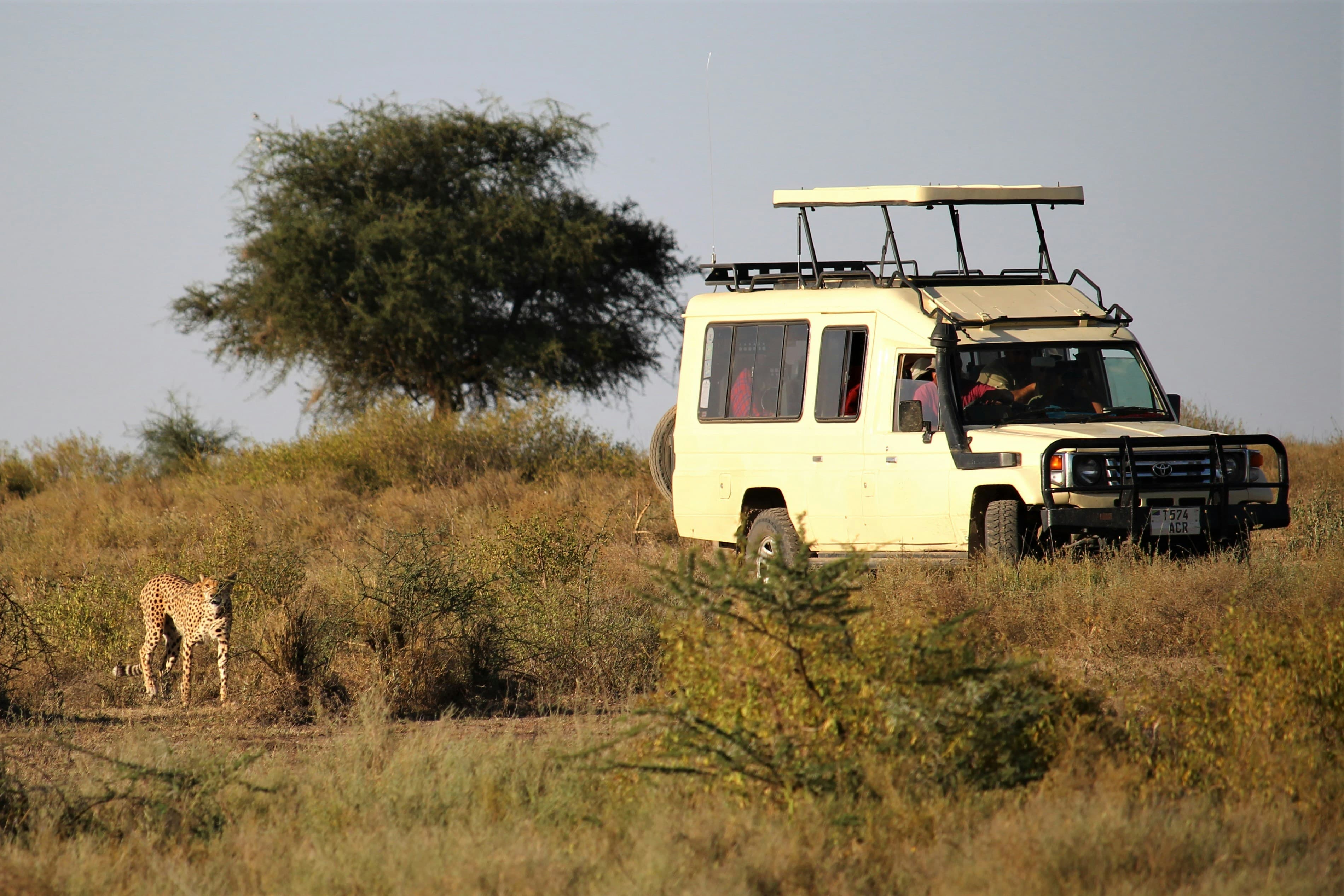 Masai Mara – Big Five Safari