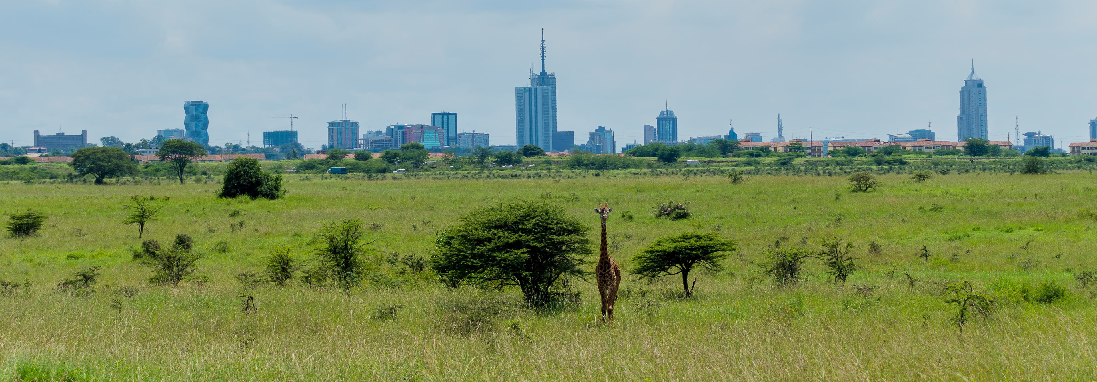 10-Day Luxurious Kenya Itinerary slide 1