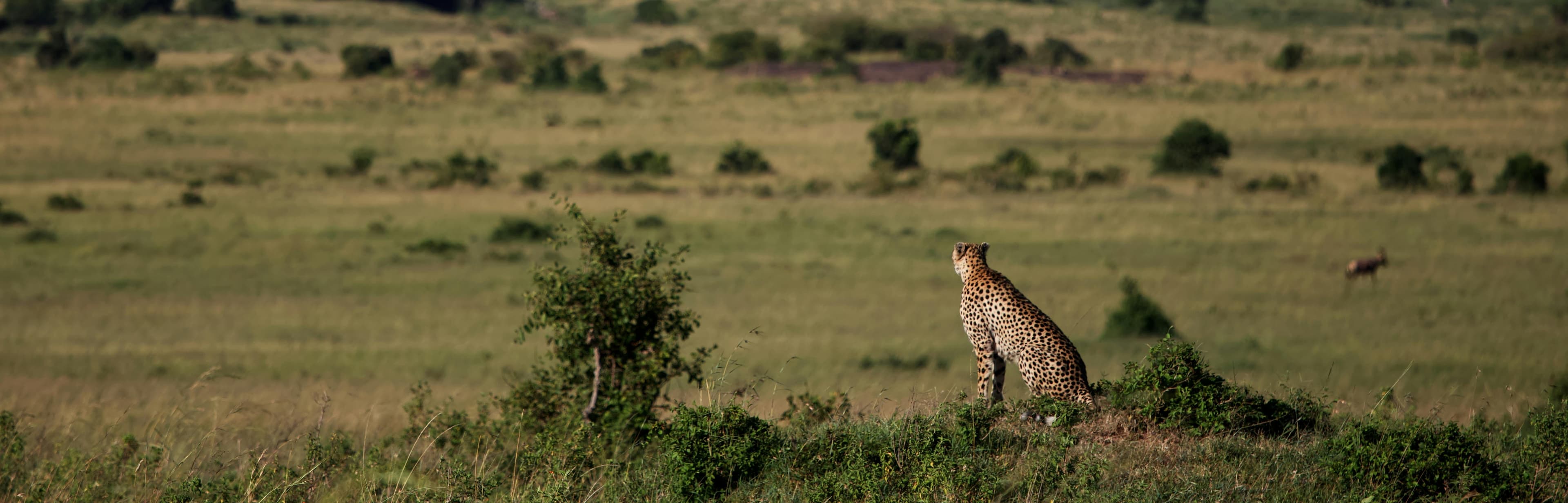 10-Day Luxurious Kenya Itinerary slide 2