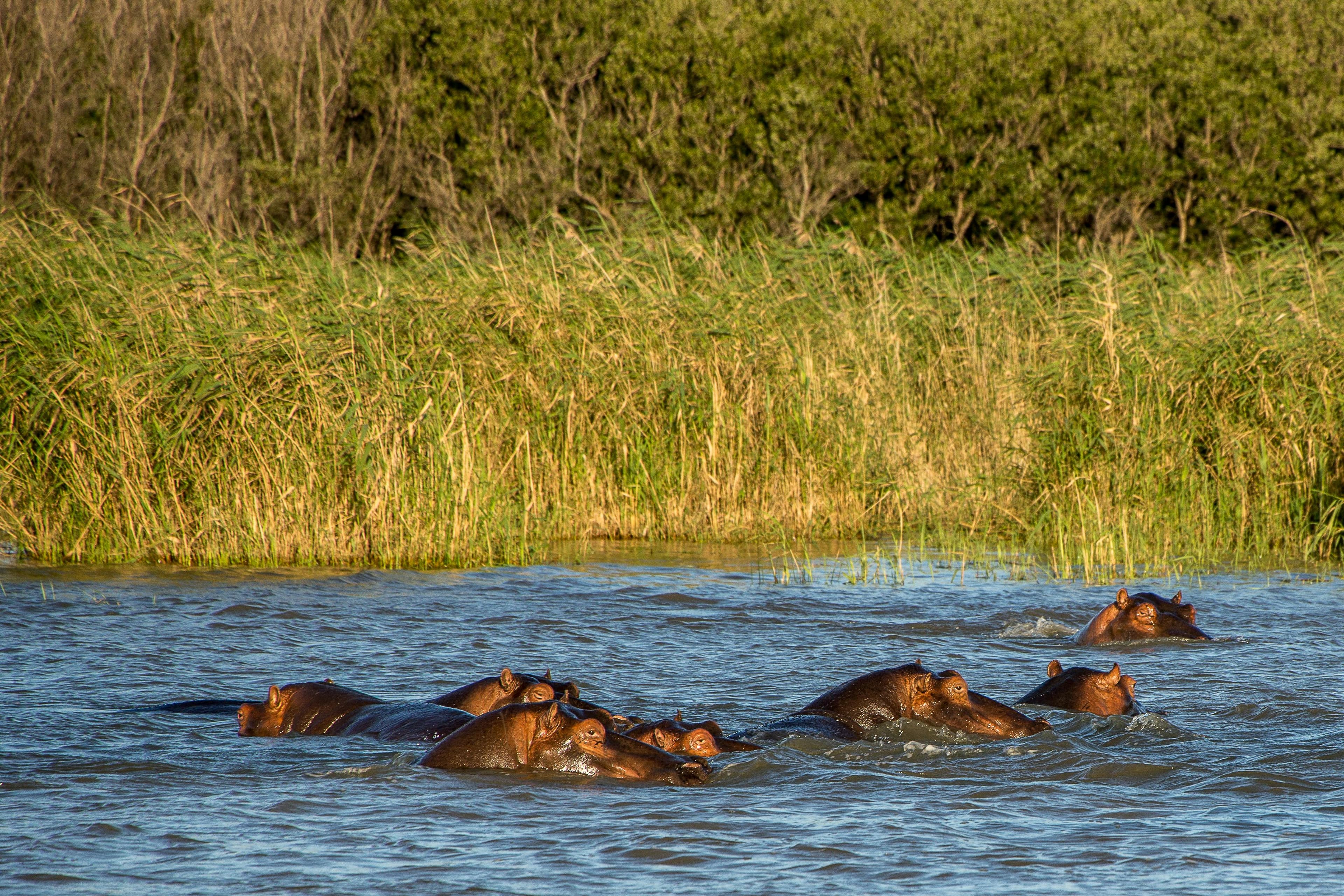 Lake Naivasha – Rift Valley Retreat