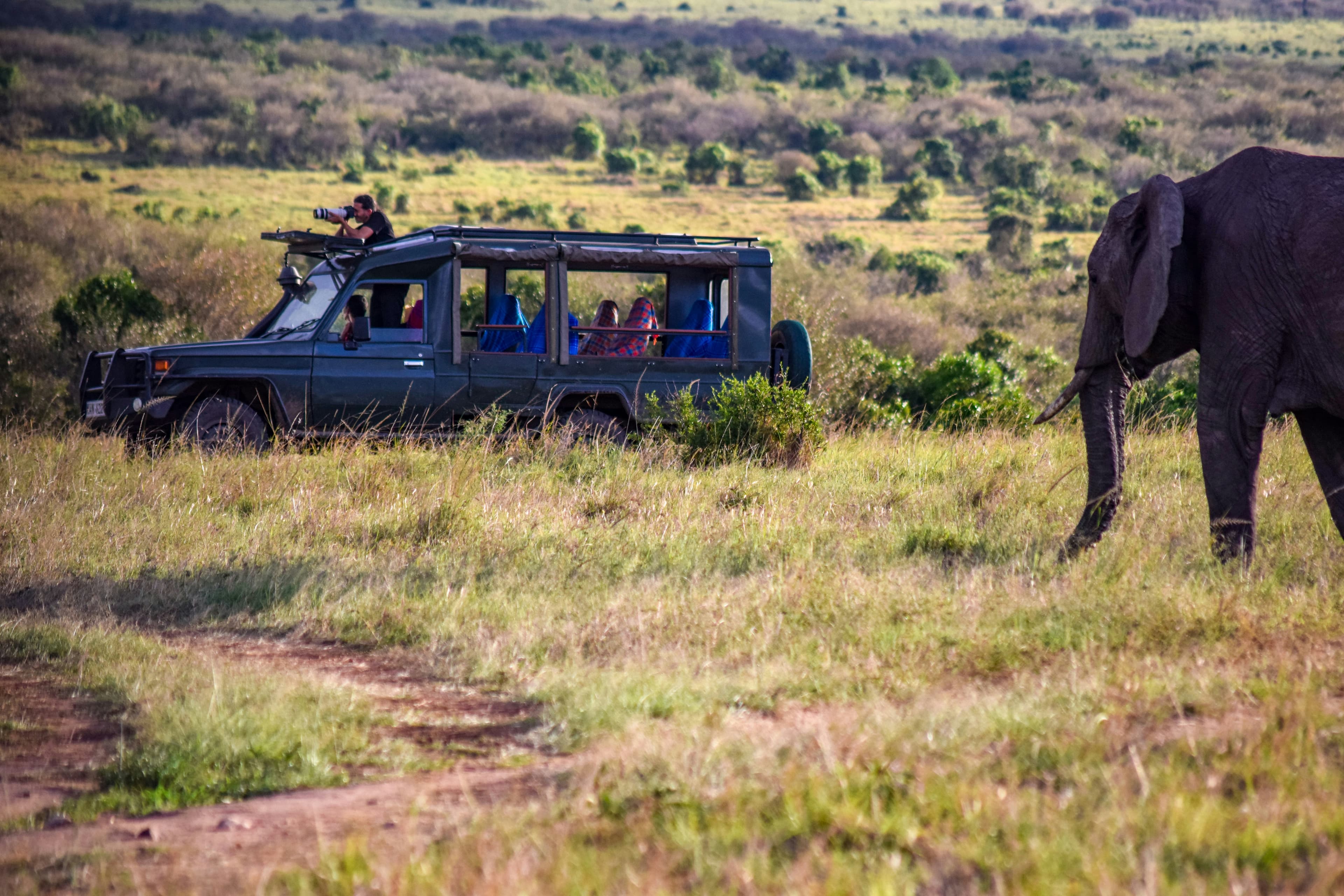 Masai Mara Safari