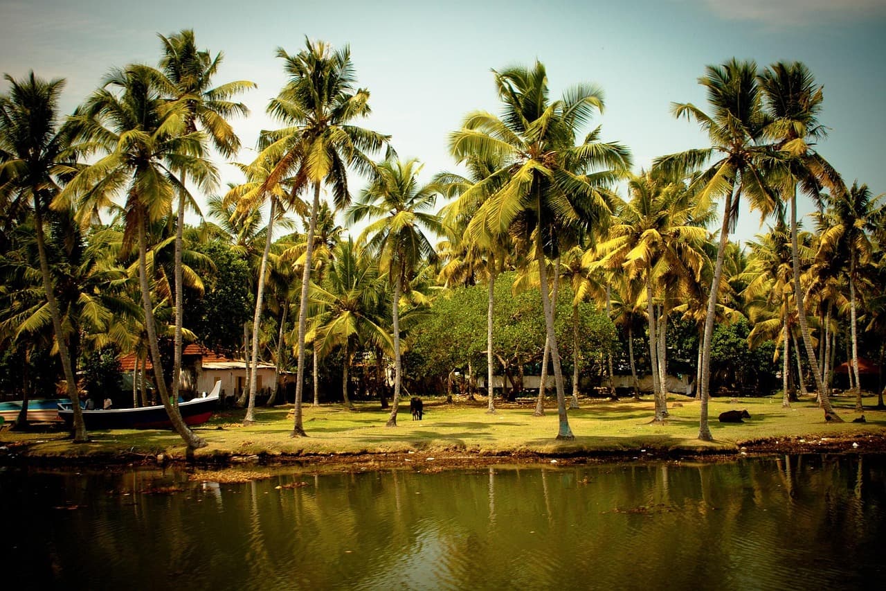 10-Day Family Itinerary for Kerala slide 4