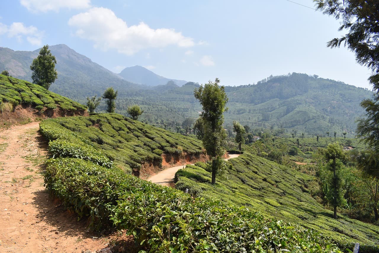 10-Day Family Itinerary for Kerala slide 5