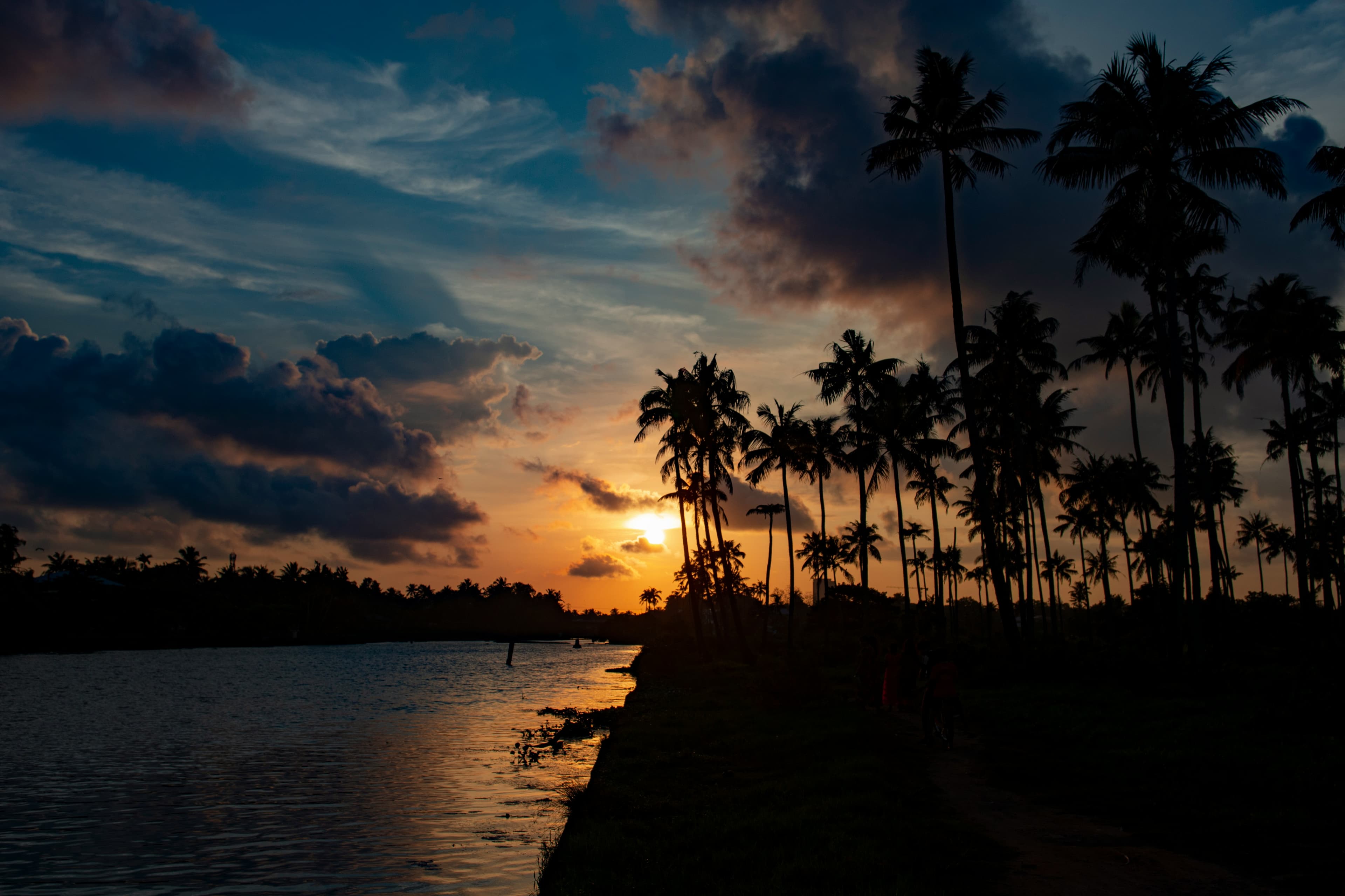 Arrival in Kochi (Cochin)
