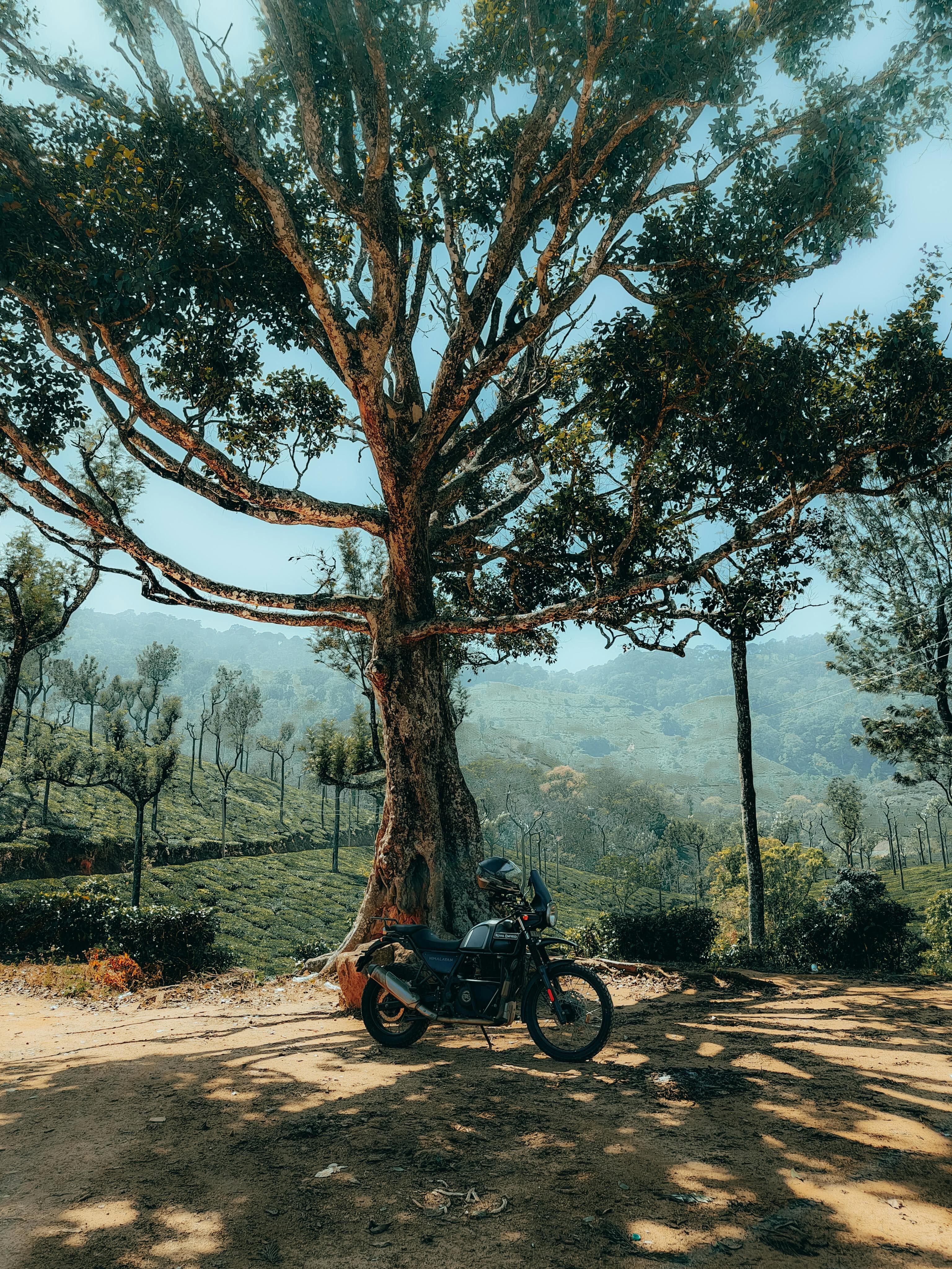 Munnar Sightseeing