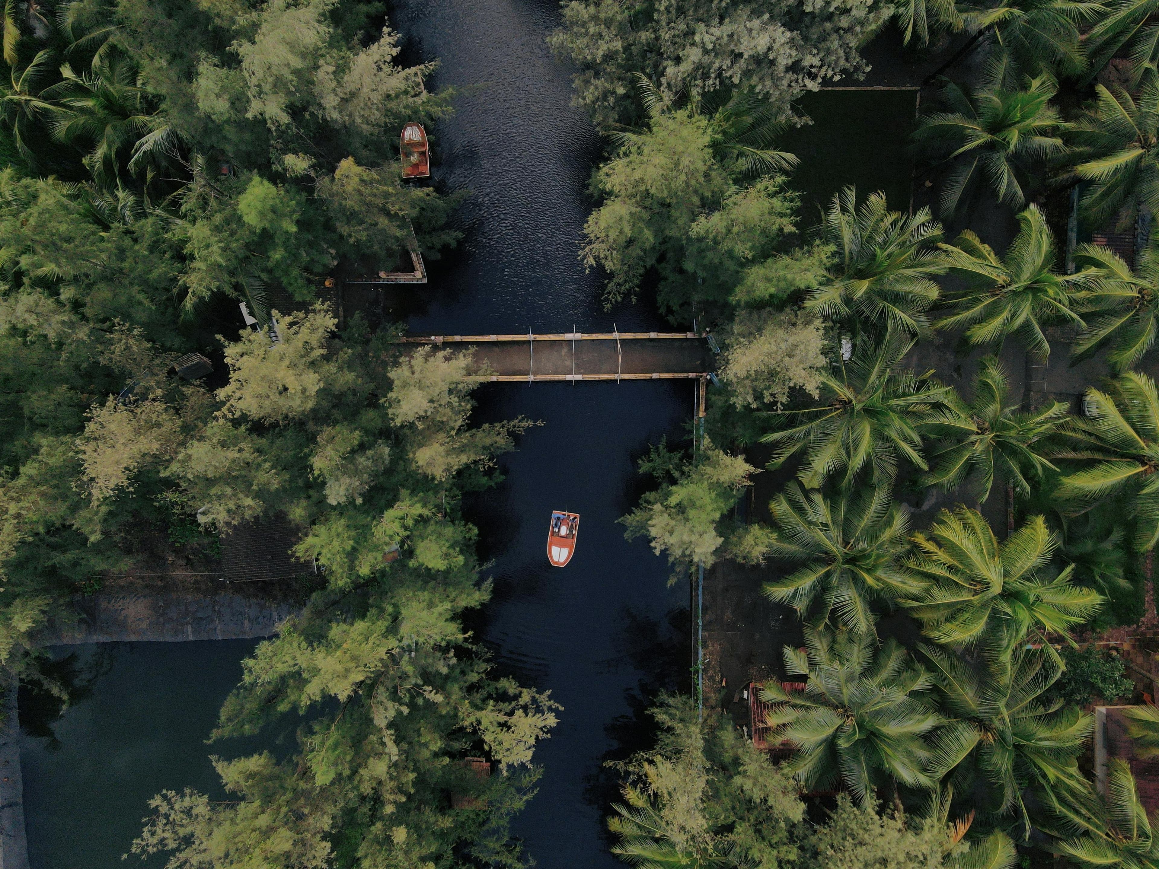 Unique Kerala Backwaters Itinerary – 7D slide 1