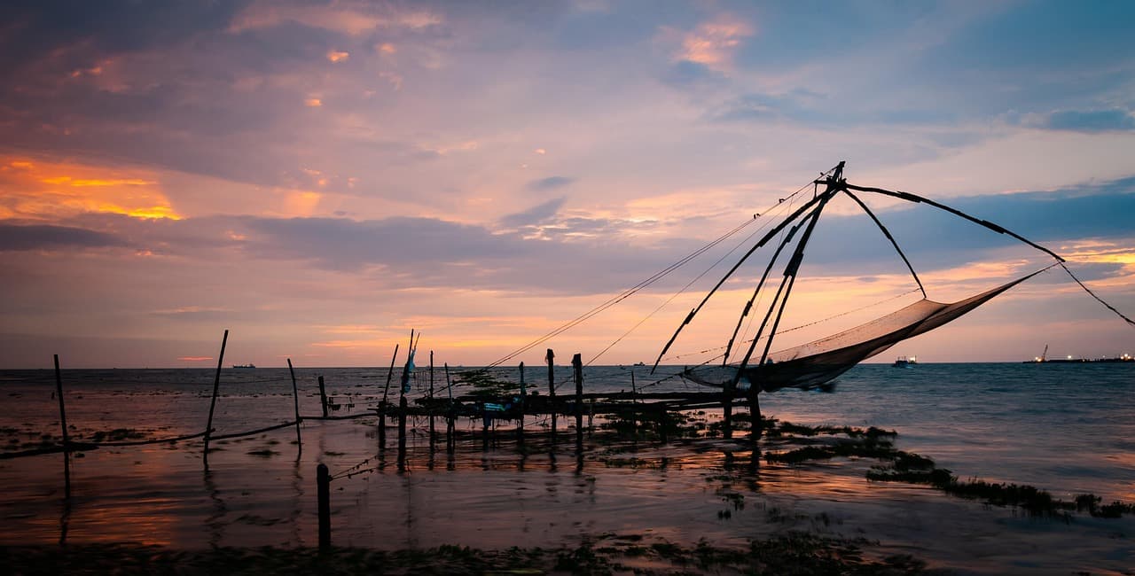 Unique Kerala Backwaters Itinerary – 7D slide 3