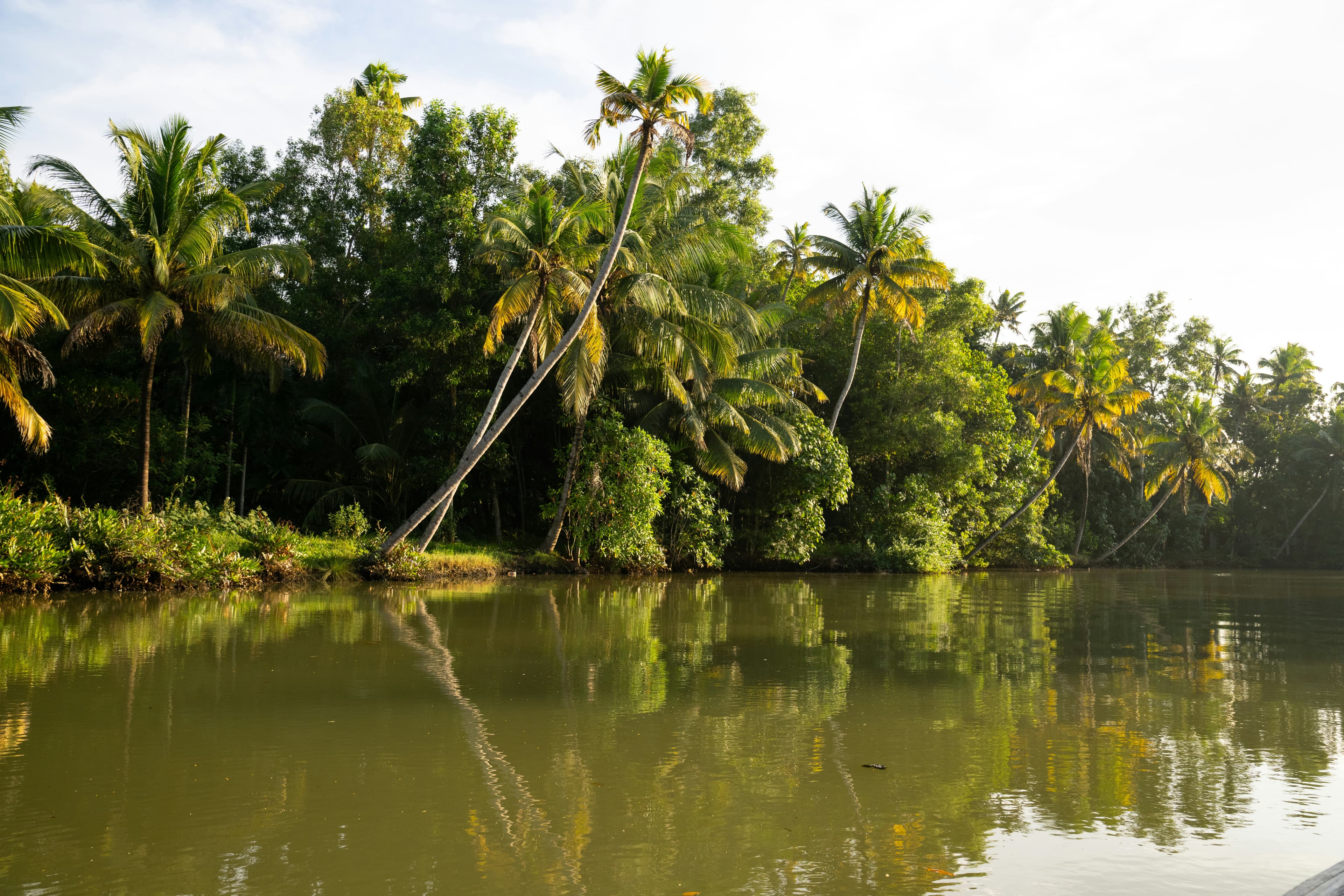 Unique Kerala Backwaters Itinerary – 7D slide 4