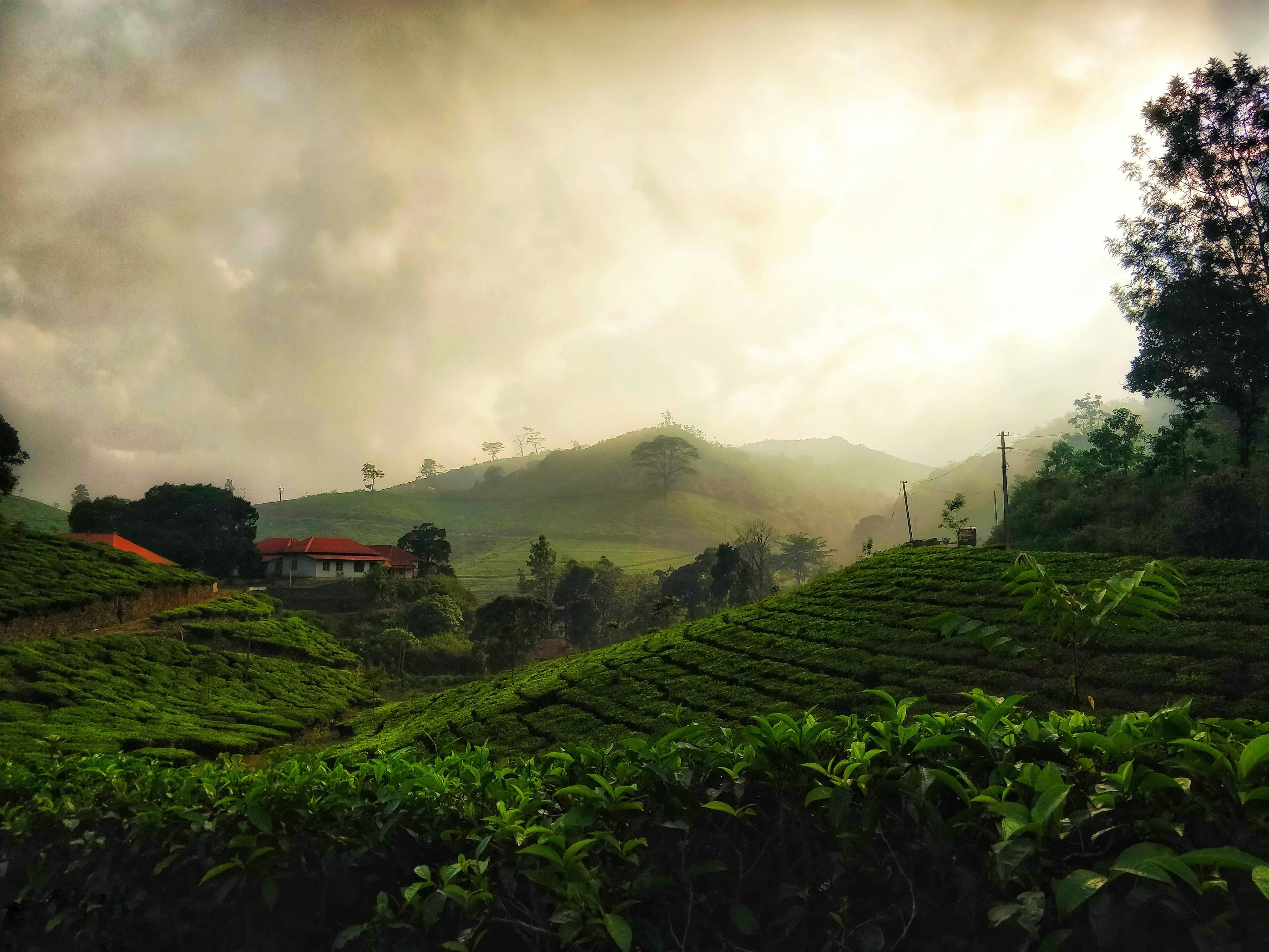Unique Kerala Backwaters Itinerary – 7D slide 5