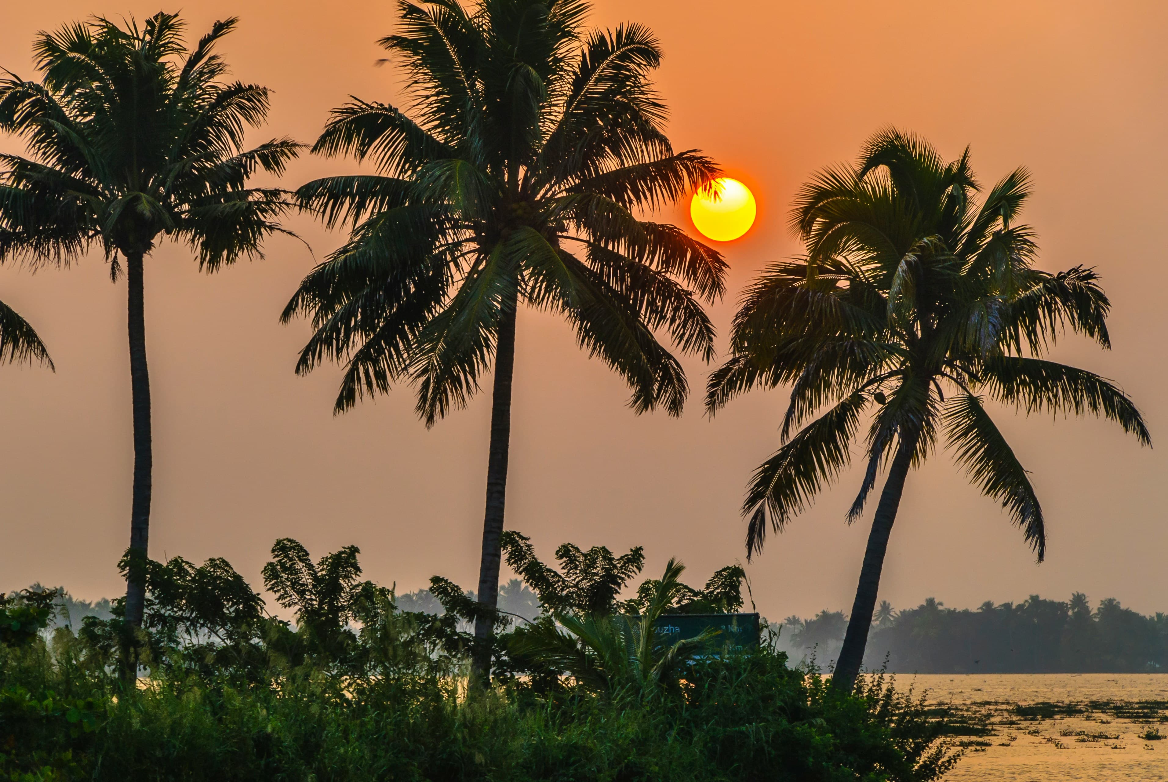 Munroe Island – Hidden Backwaters