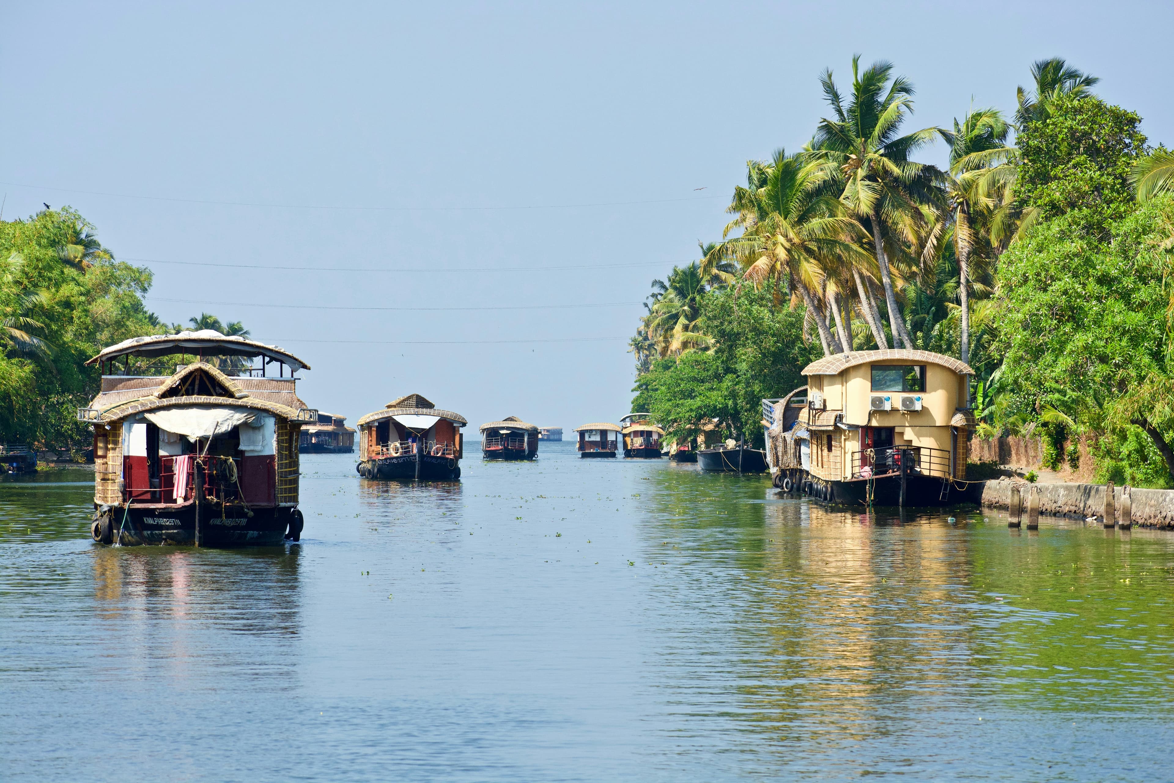 Unique Honeymoon: Munnar, Thekkady & Wayanad – 7D/6N slide 4