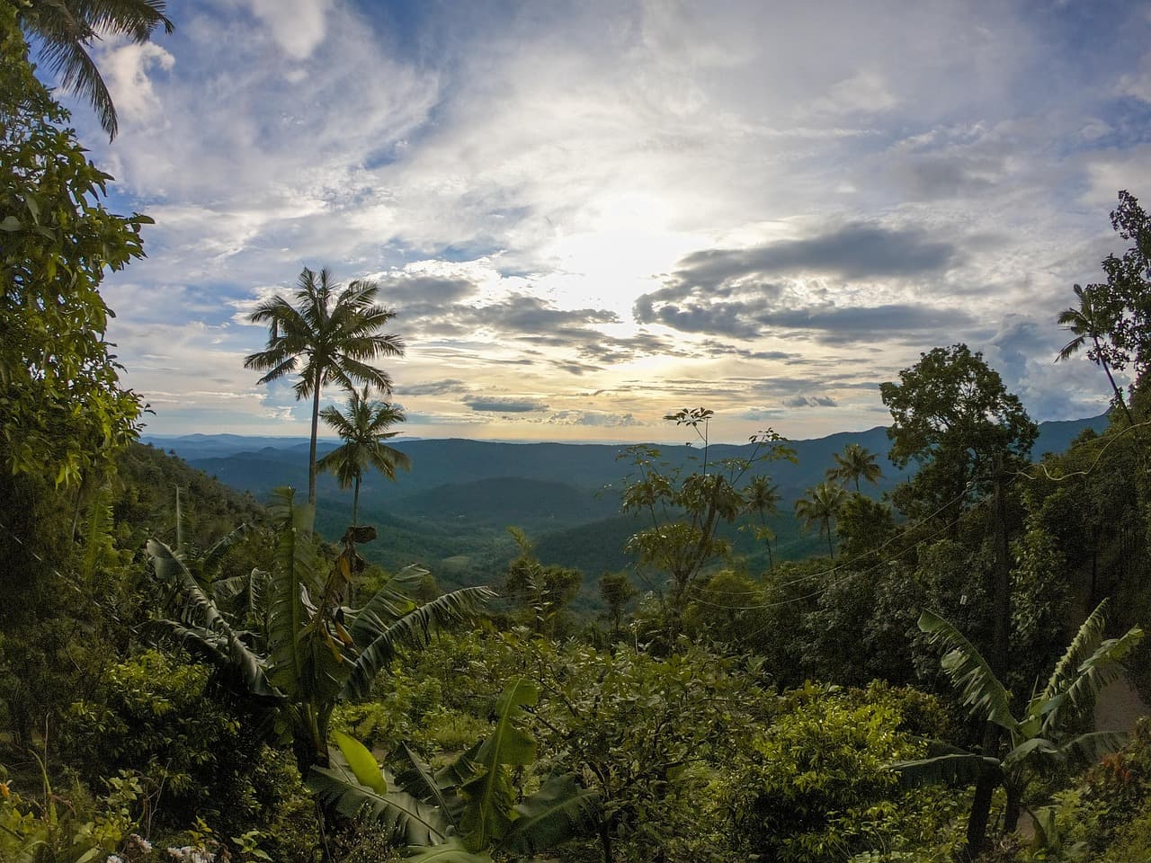 Explore Munnar – Romance in the Hills