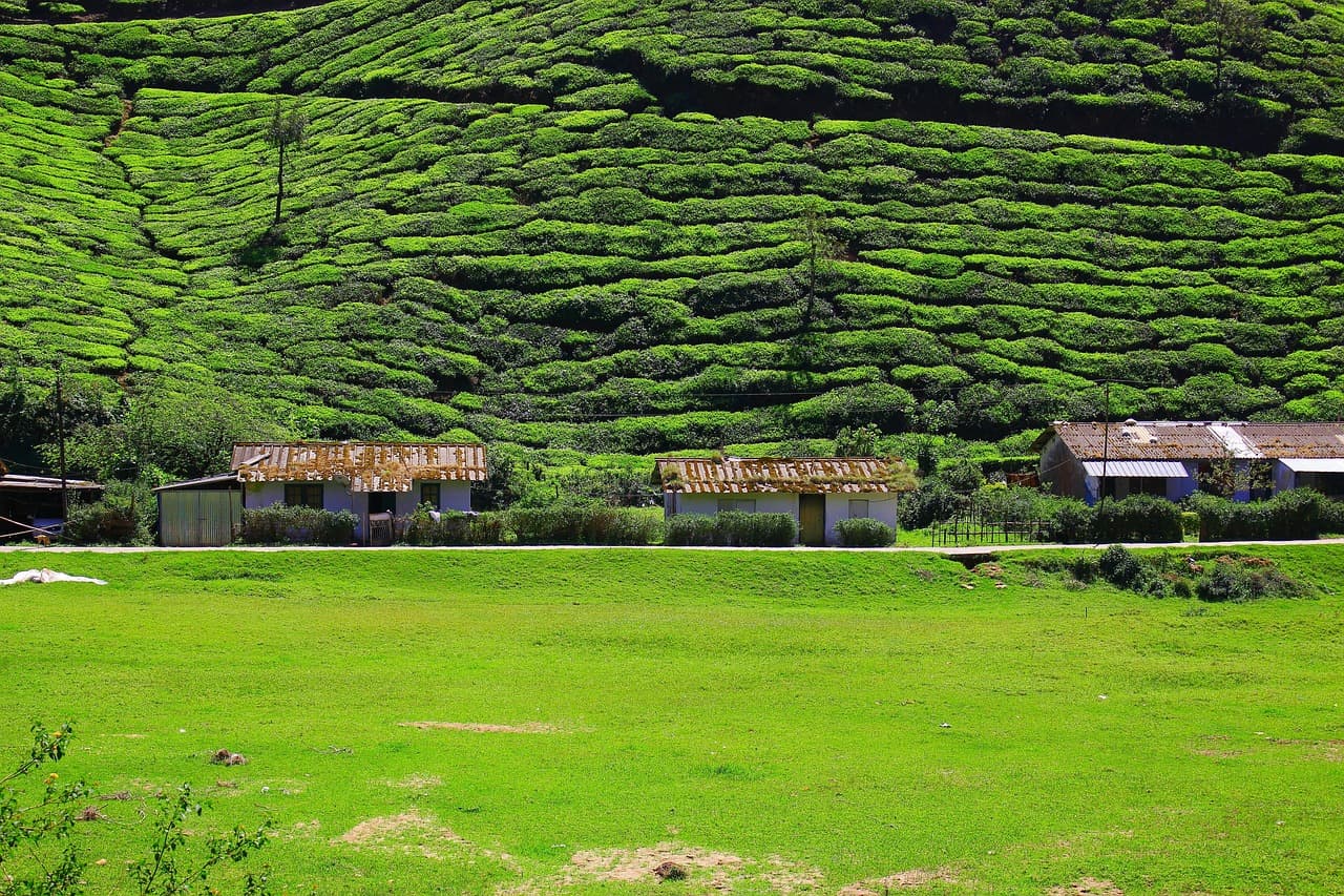 Ultimate Luxurious Kerala Honeymoon Itinerary (7N/8D) slide 1