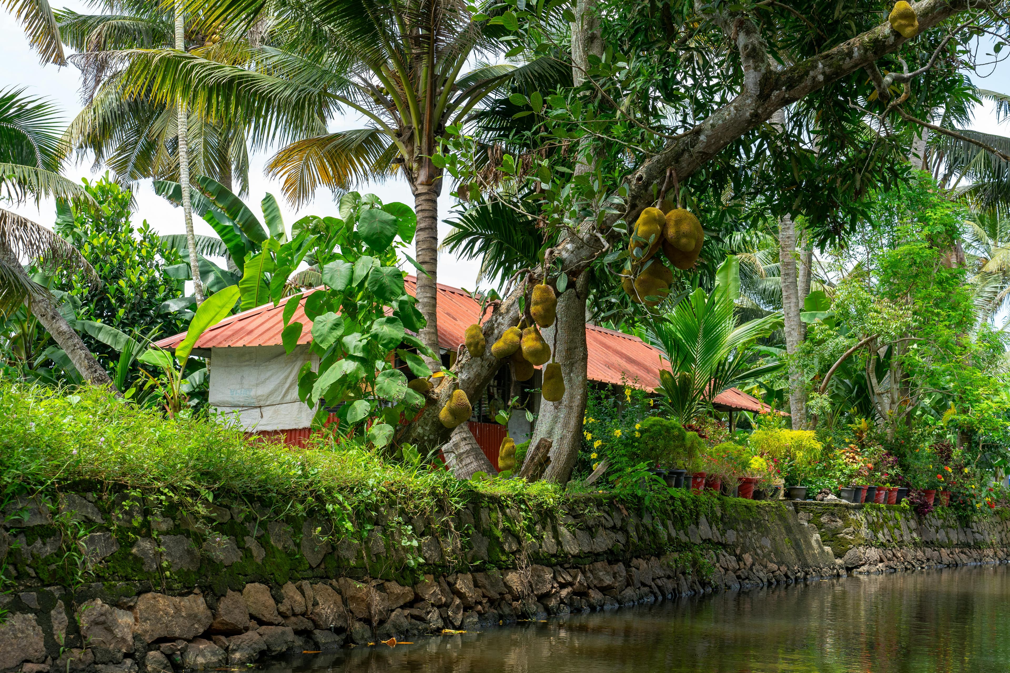 Ultimate Luxurious Kerala Honeymoon Itinerary (7N/8D) slide 5