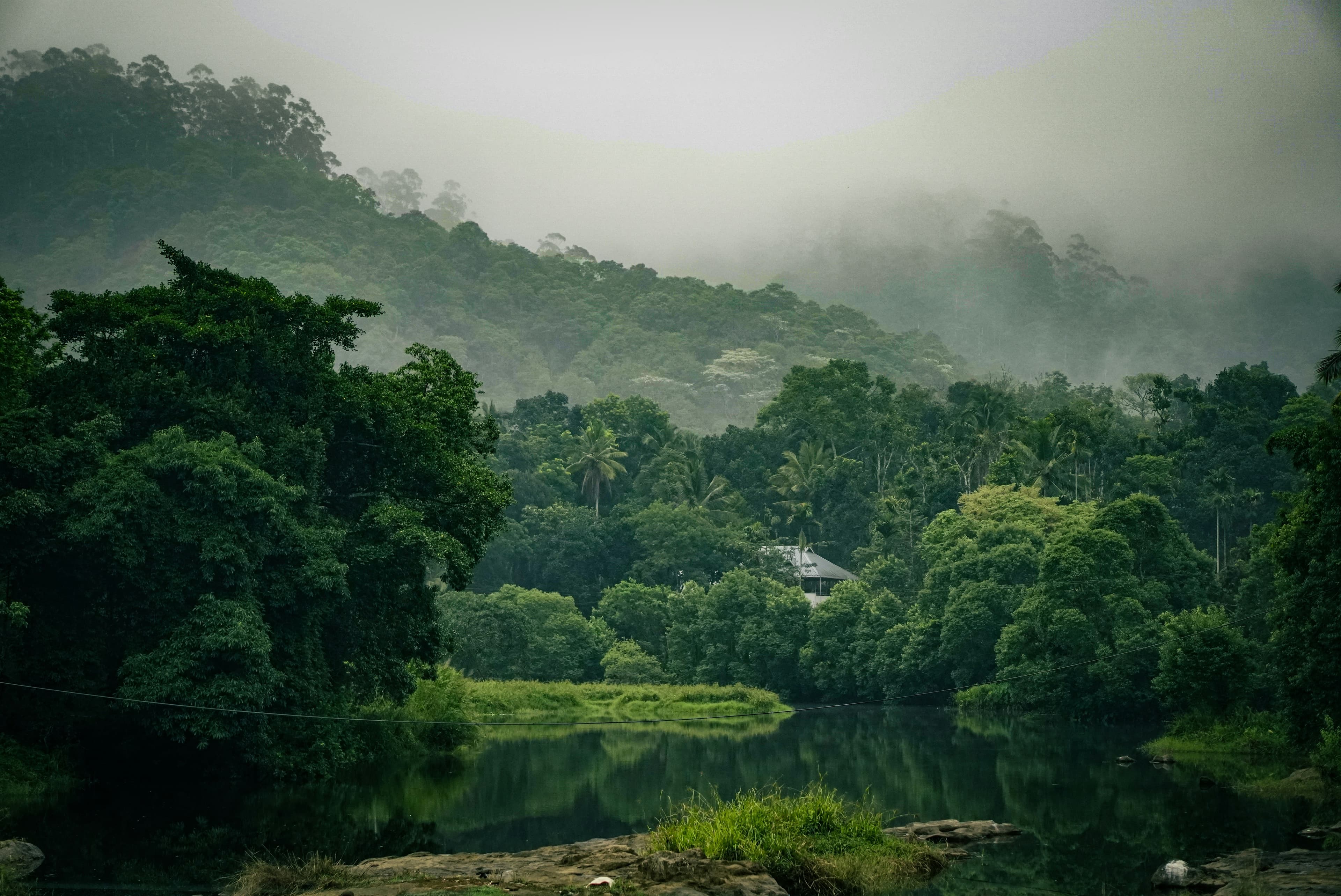 Munnar → Thekkady – Forest Elegance