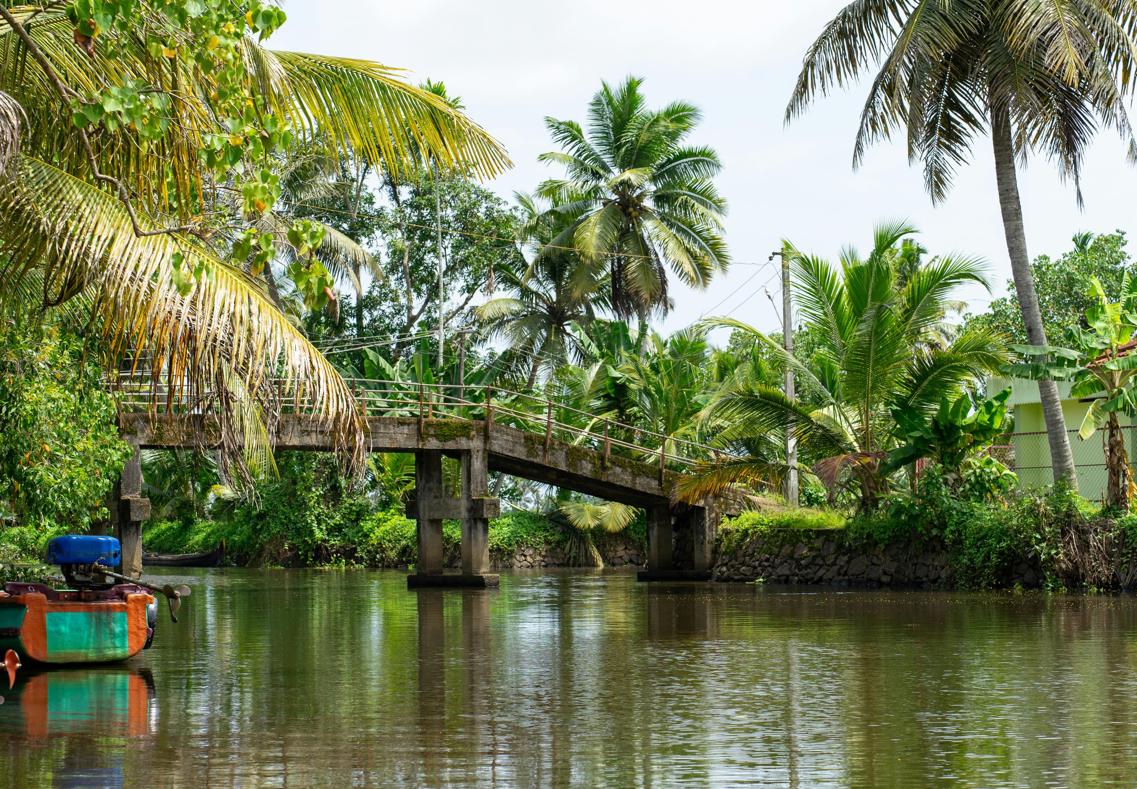 Family Fun: Wayanad, Thekkady & Munnar – 8D/7N slide 1