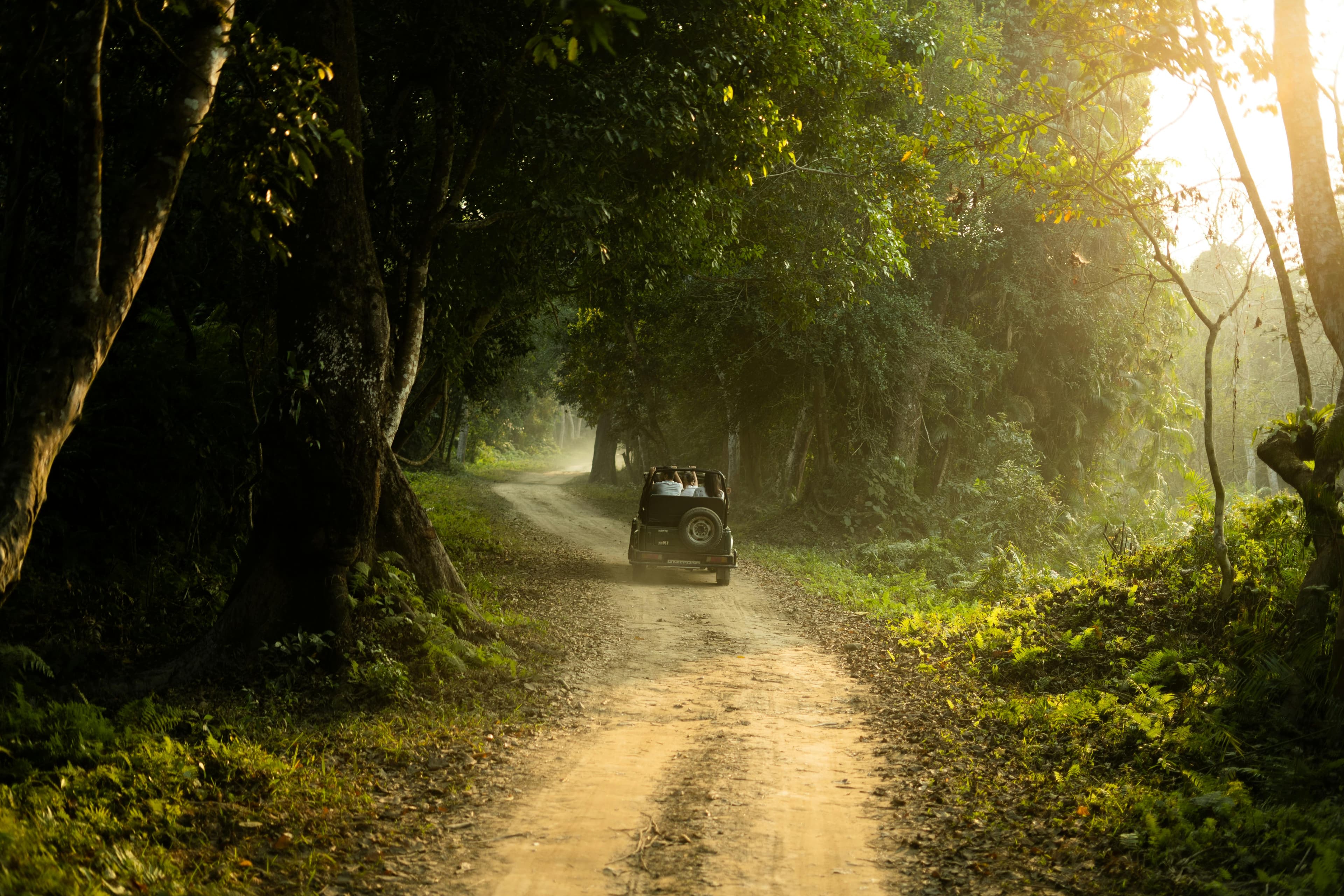 Family Fun: Wayanad, Thekkady & Munnar – 8D/7N slide 2