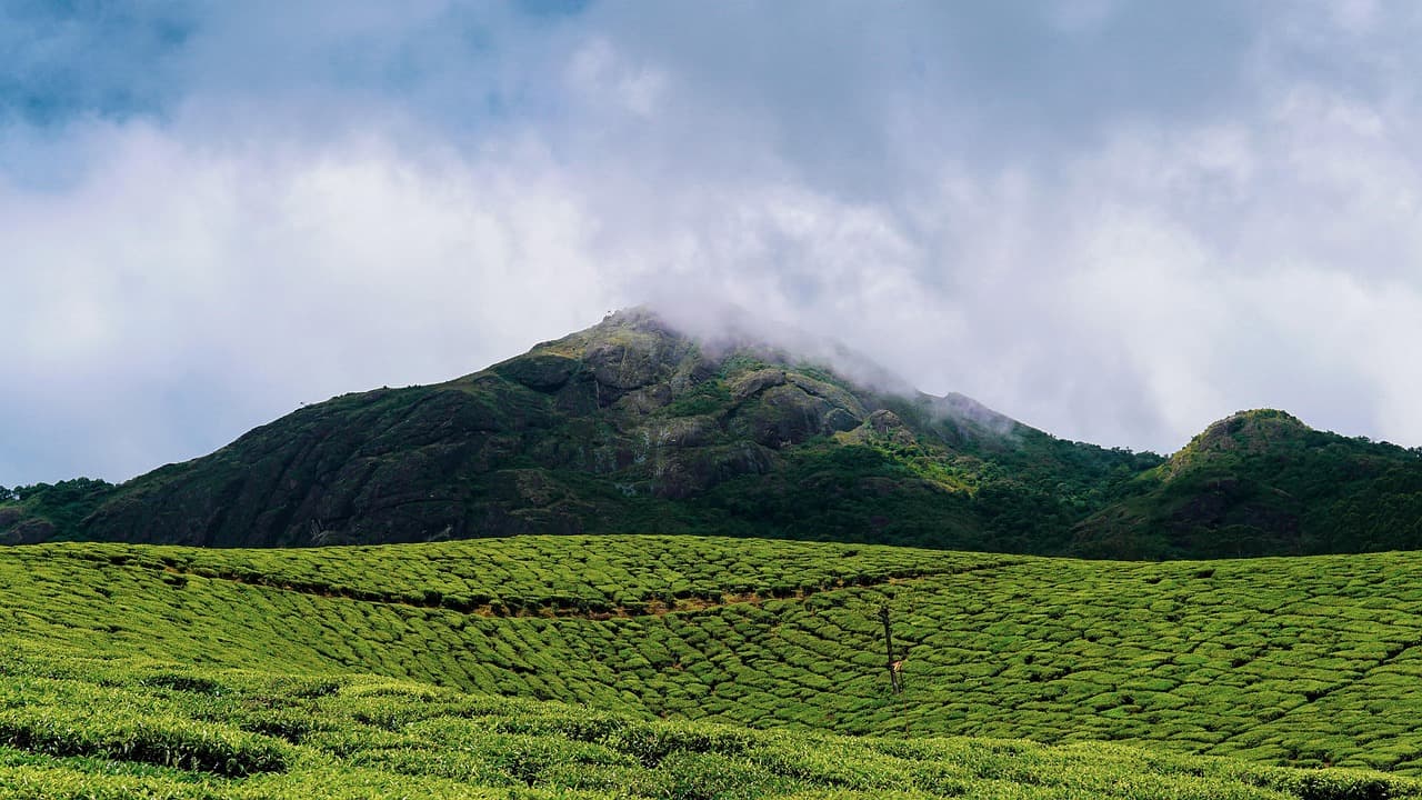Family Fun: Wayanad, Thekkady & Munnar – 8D/7N slide 3