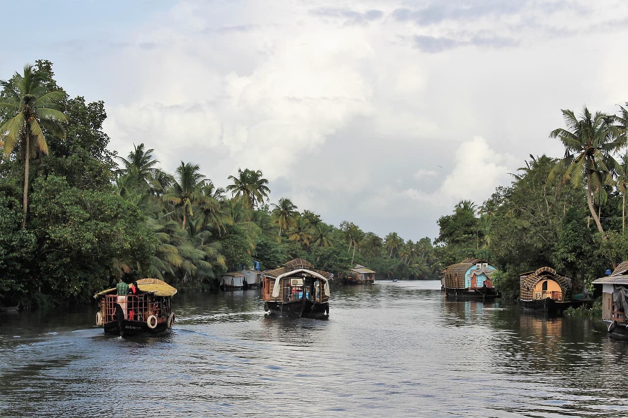 Family Fun: Wayanad, Thekkady & Munnar – 8D/7N slide 5