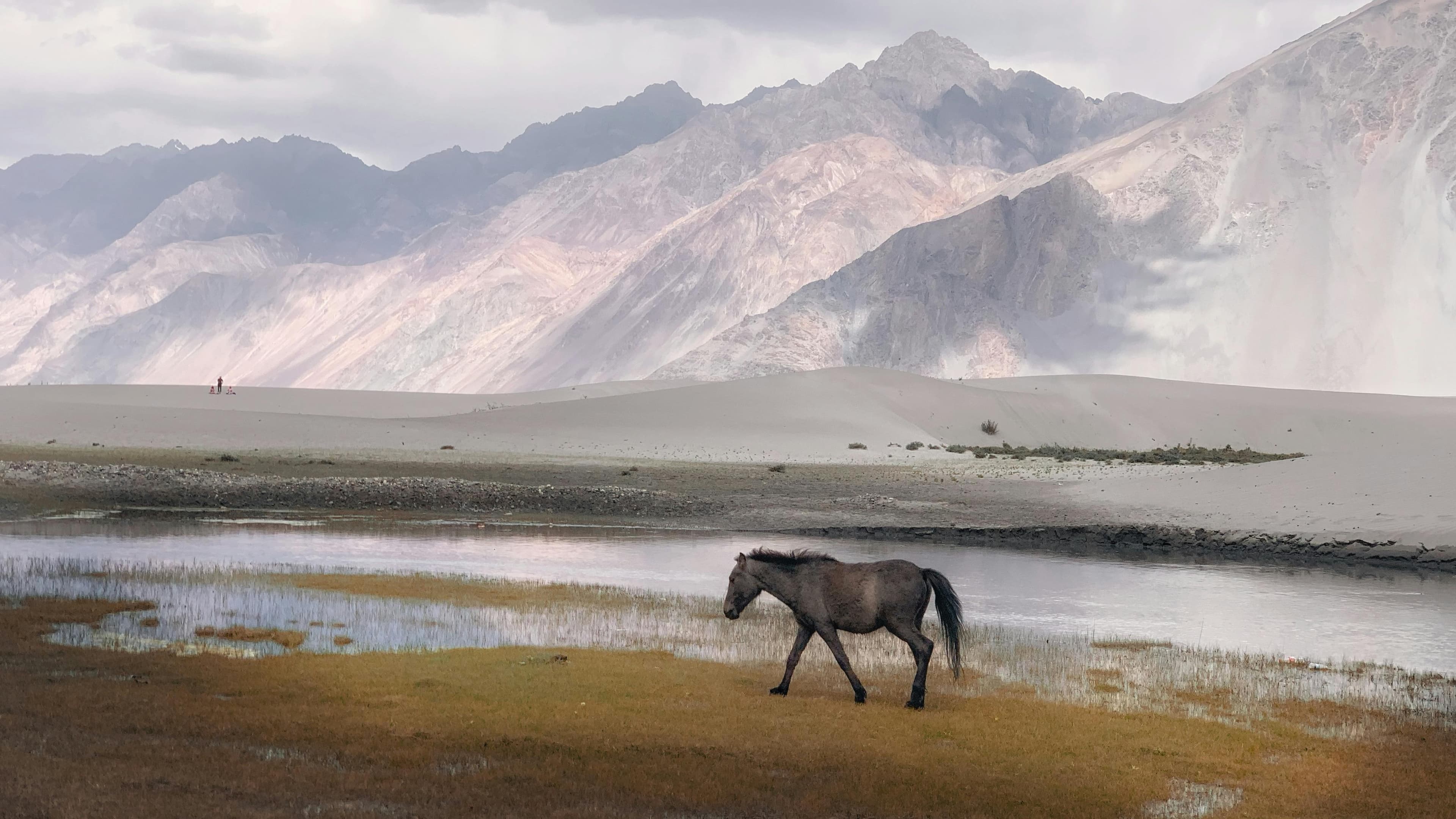 Classic Leh–Ladakh Circuit (10D/9N) slide 5