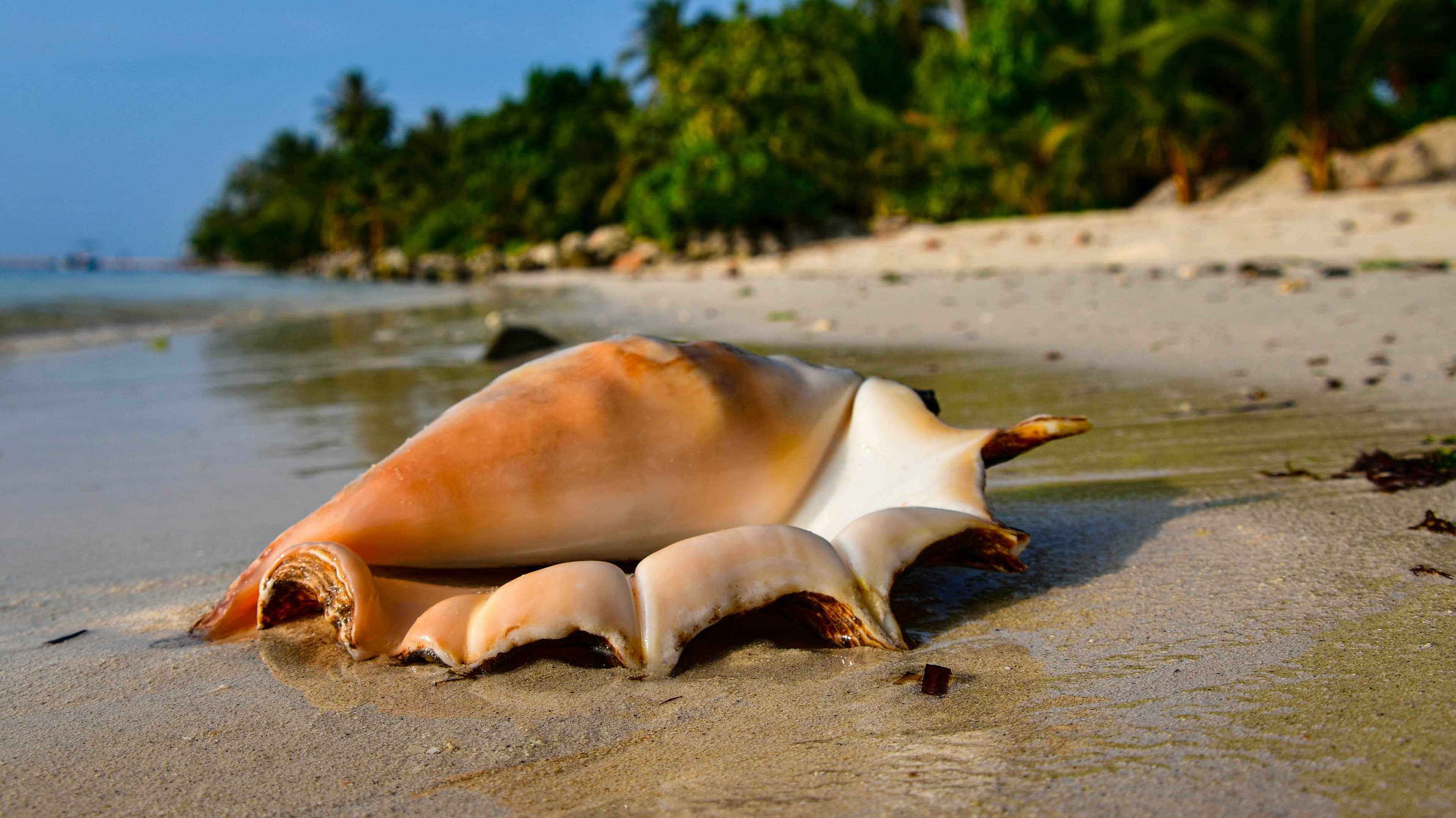 Maldives Kids-Friendly Water Adventure – 5D/4N slide 1