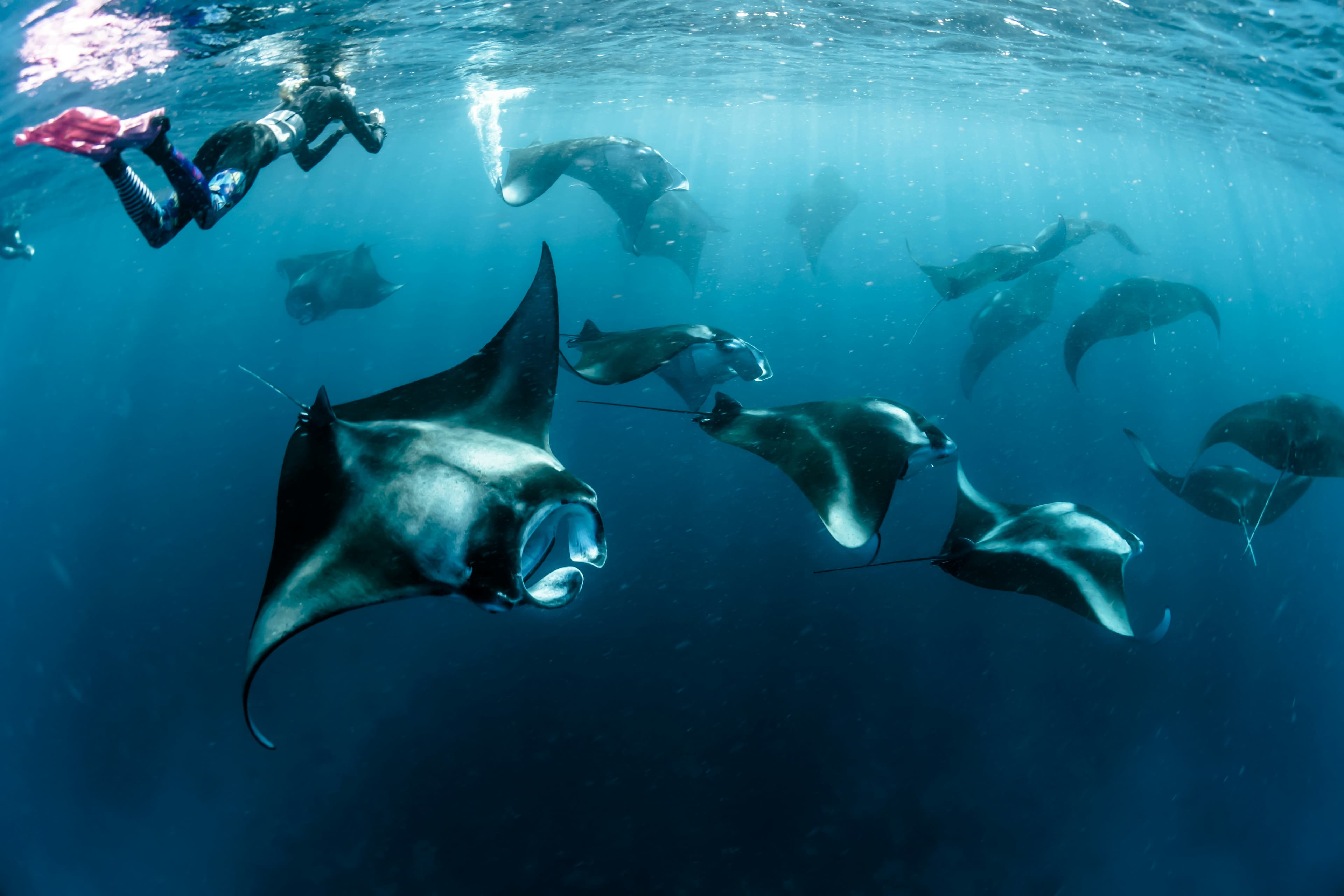 Maldives Kids-Friendly Water Adventure – 5D/4N slide 3