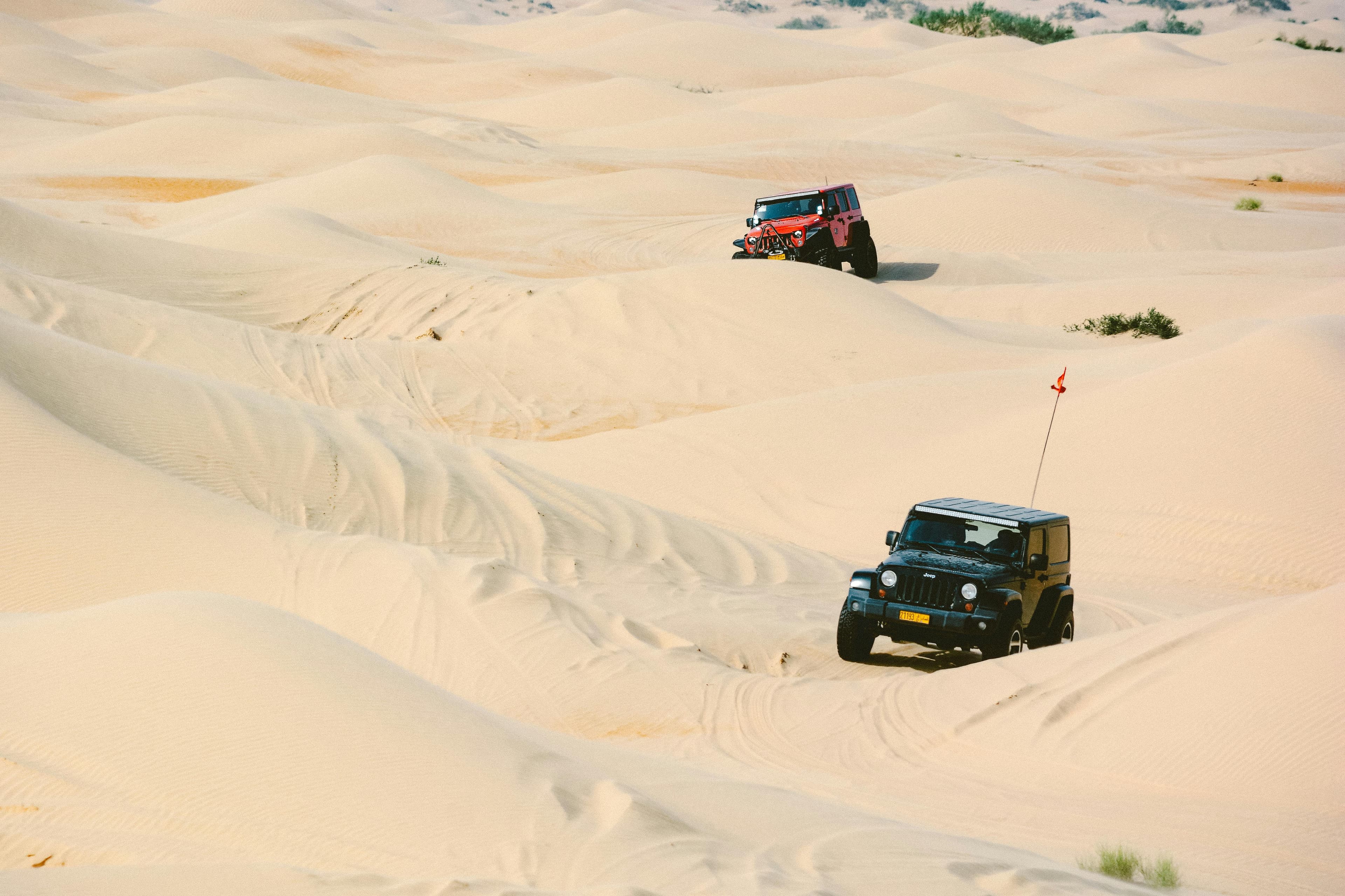 Jaisalmer Fort & Desert Majesty