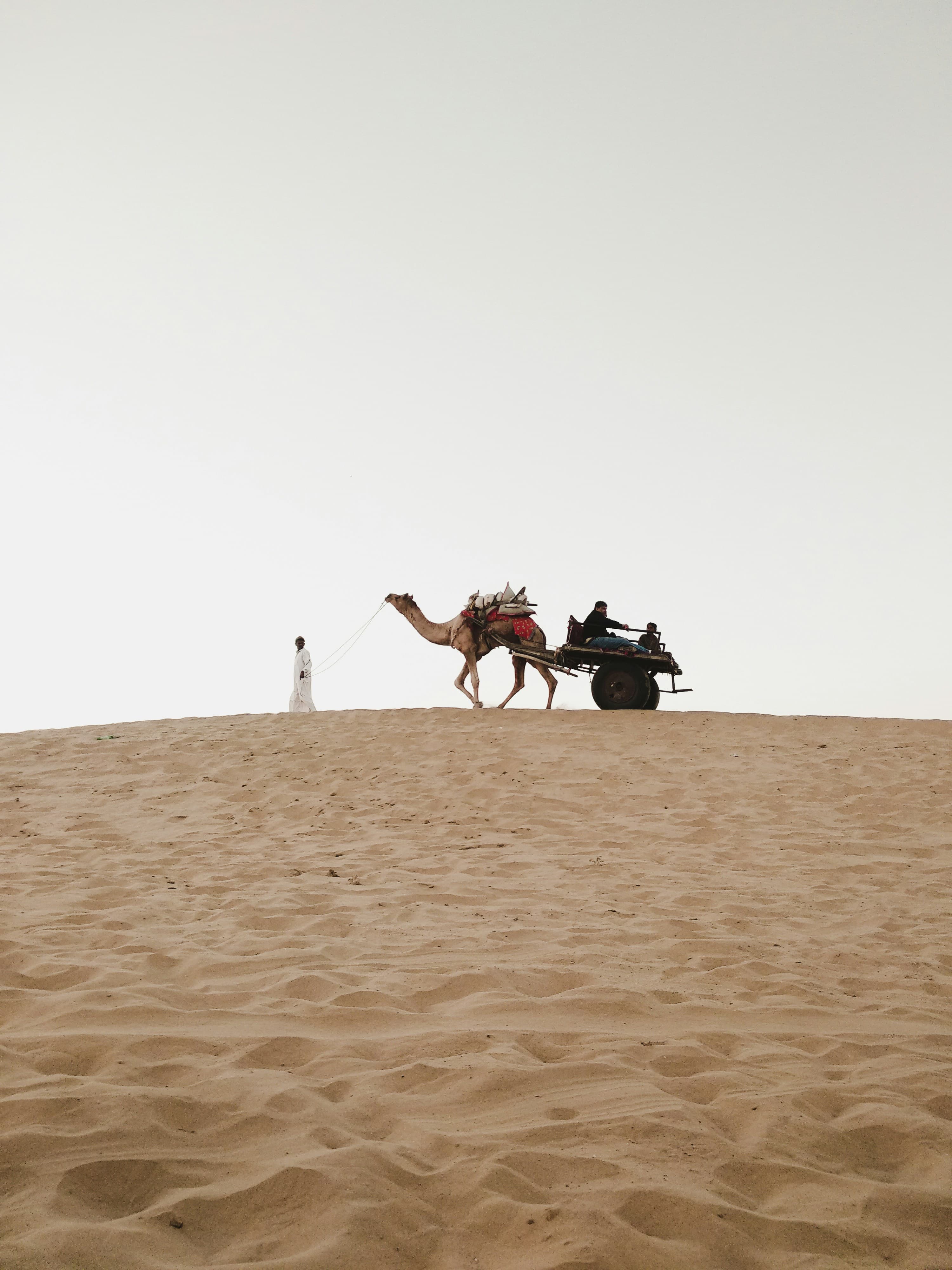 3-Night Desert Escape: Jaisalmer Focus slide 1