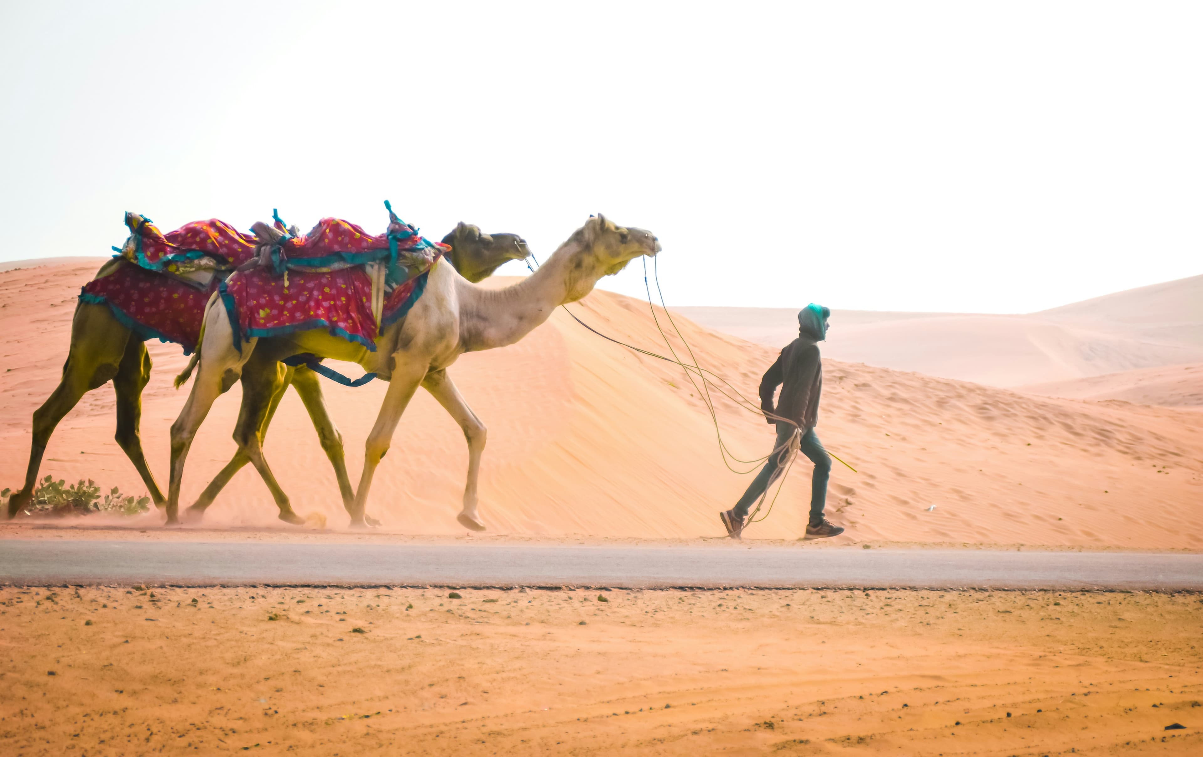 Desert Safari Fun