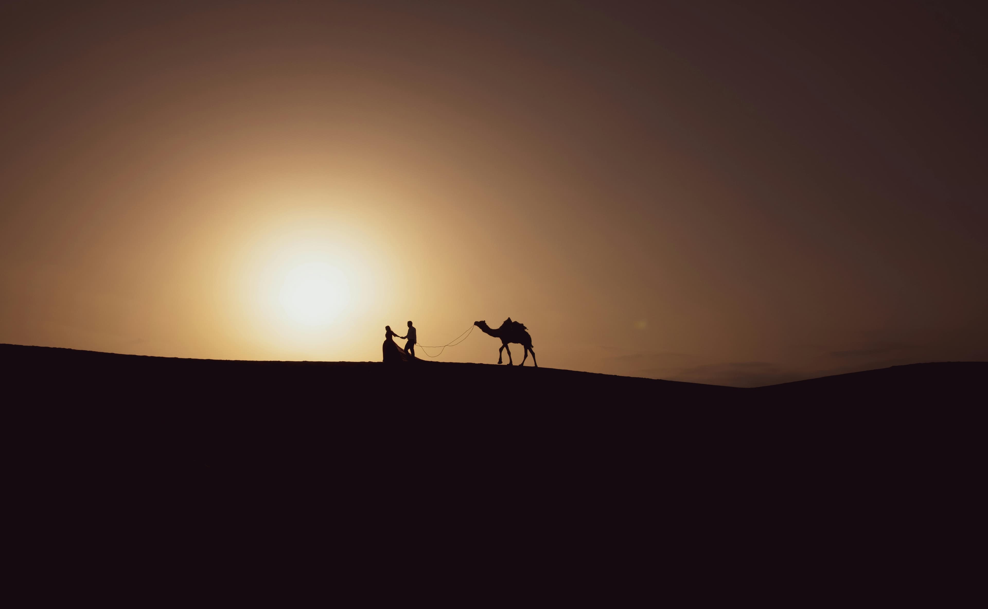 3-Night Desert Escape: Jaisalmer Focus
