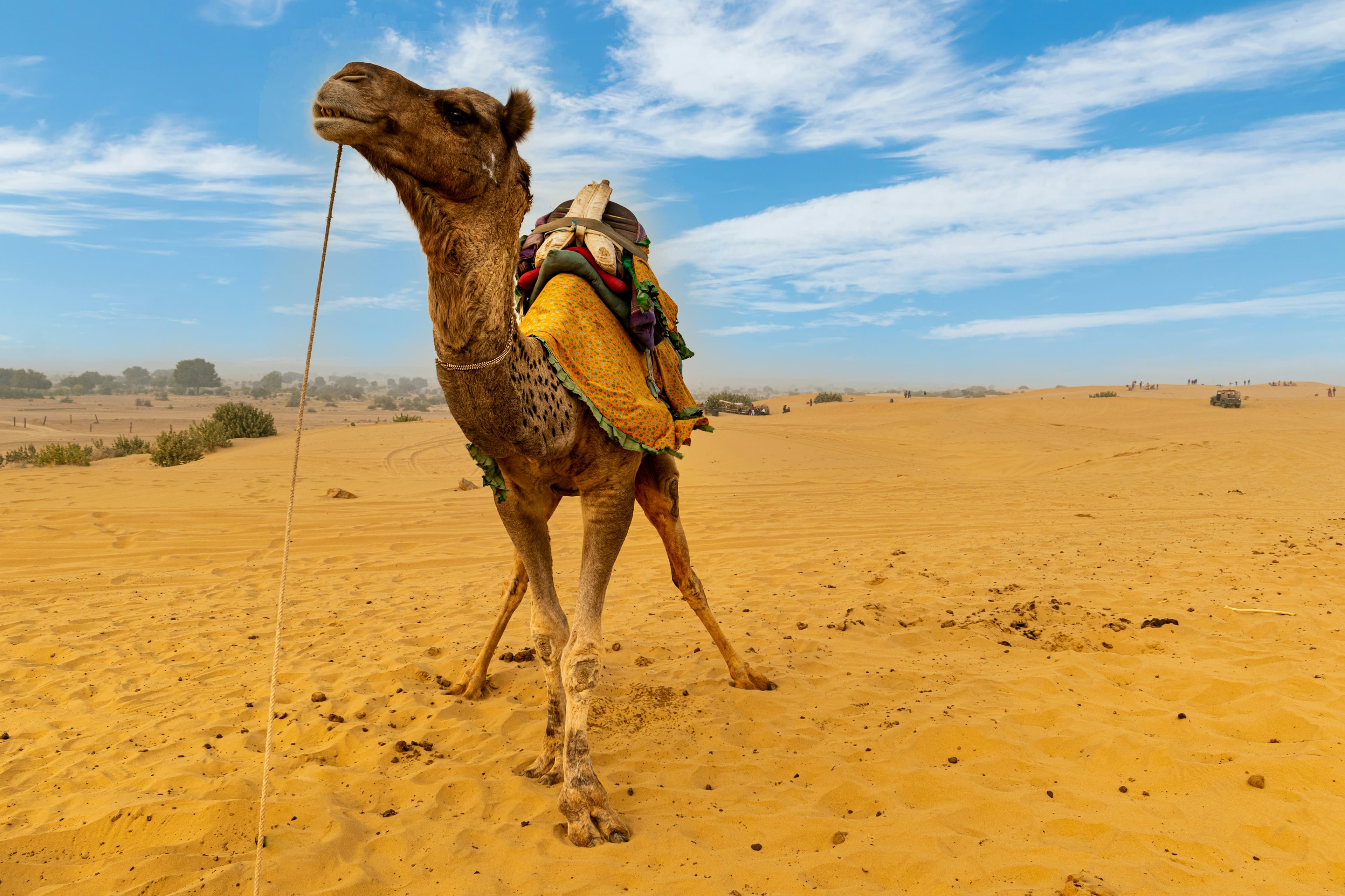 5-Night Desert Triangle: Jodhpur – Osian – Jaisalmer slide 1