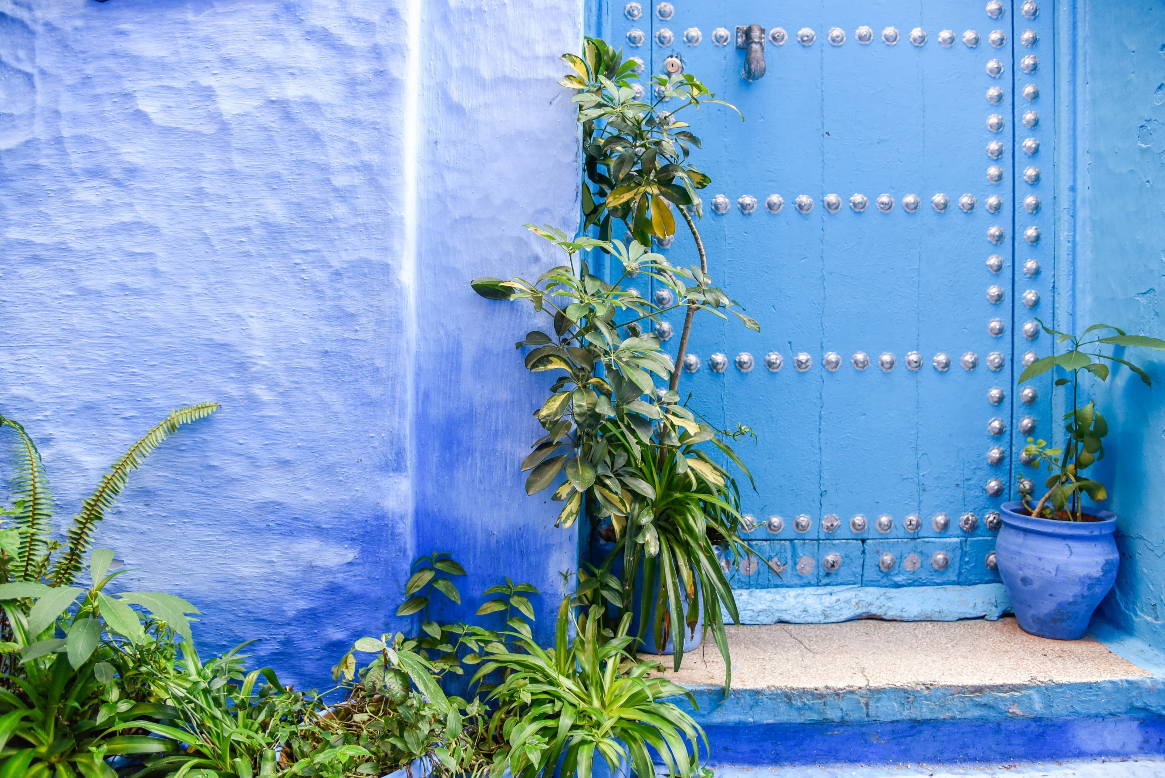Drive to Jodhpur – Blue Romance