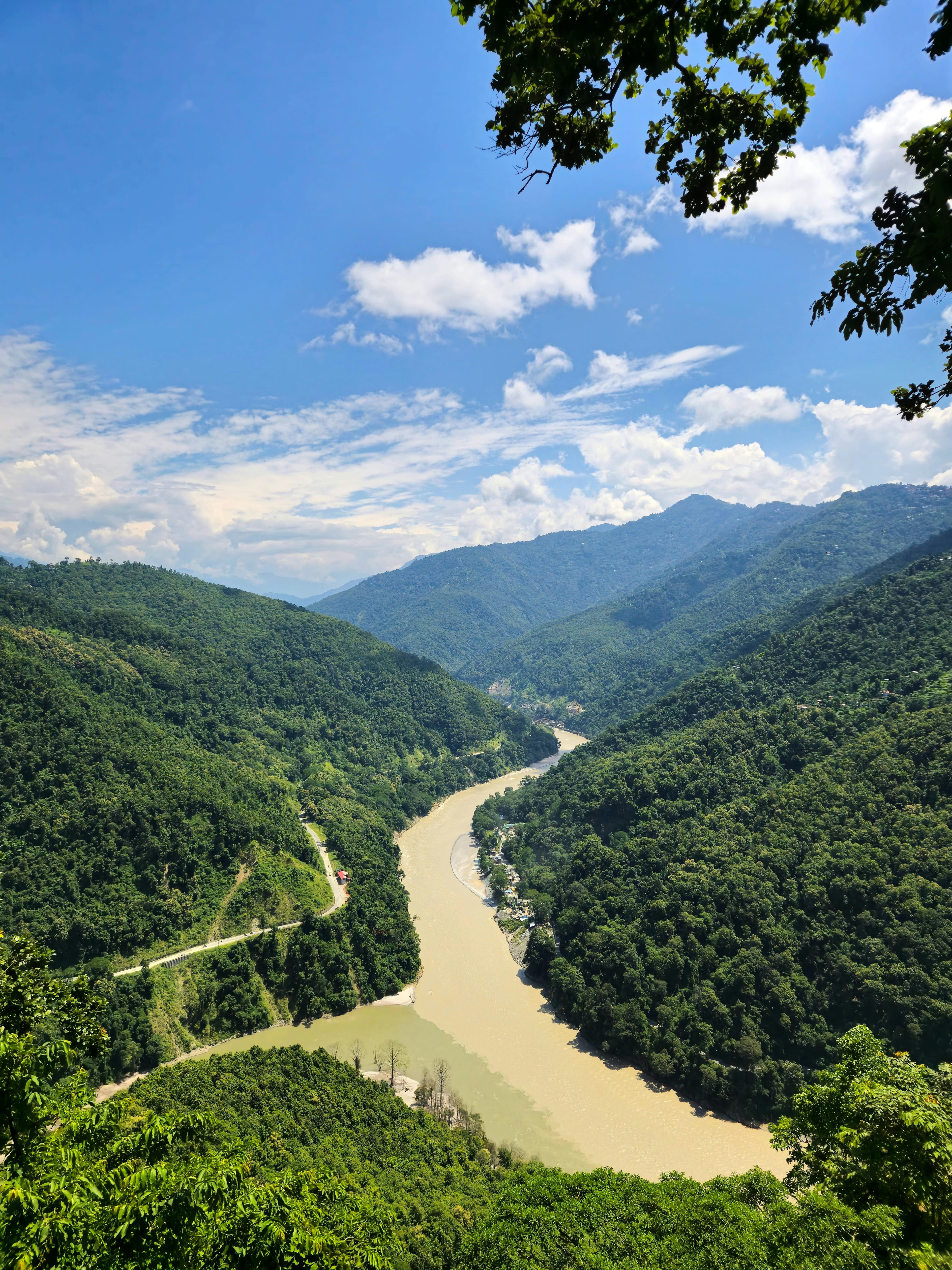 River + Forest Thrills