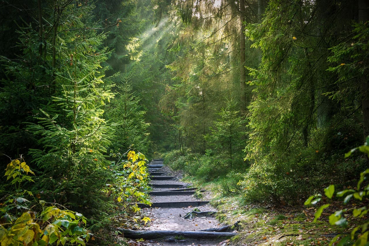 Caving & Secret Trails