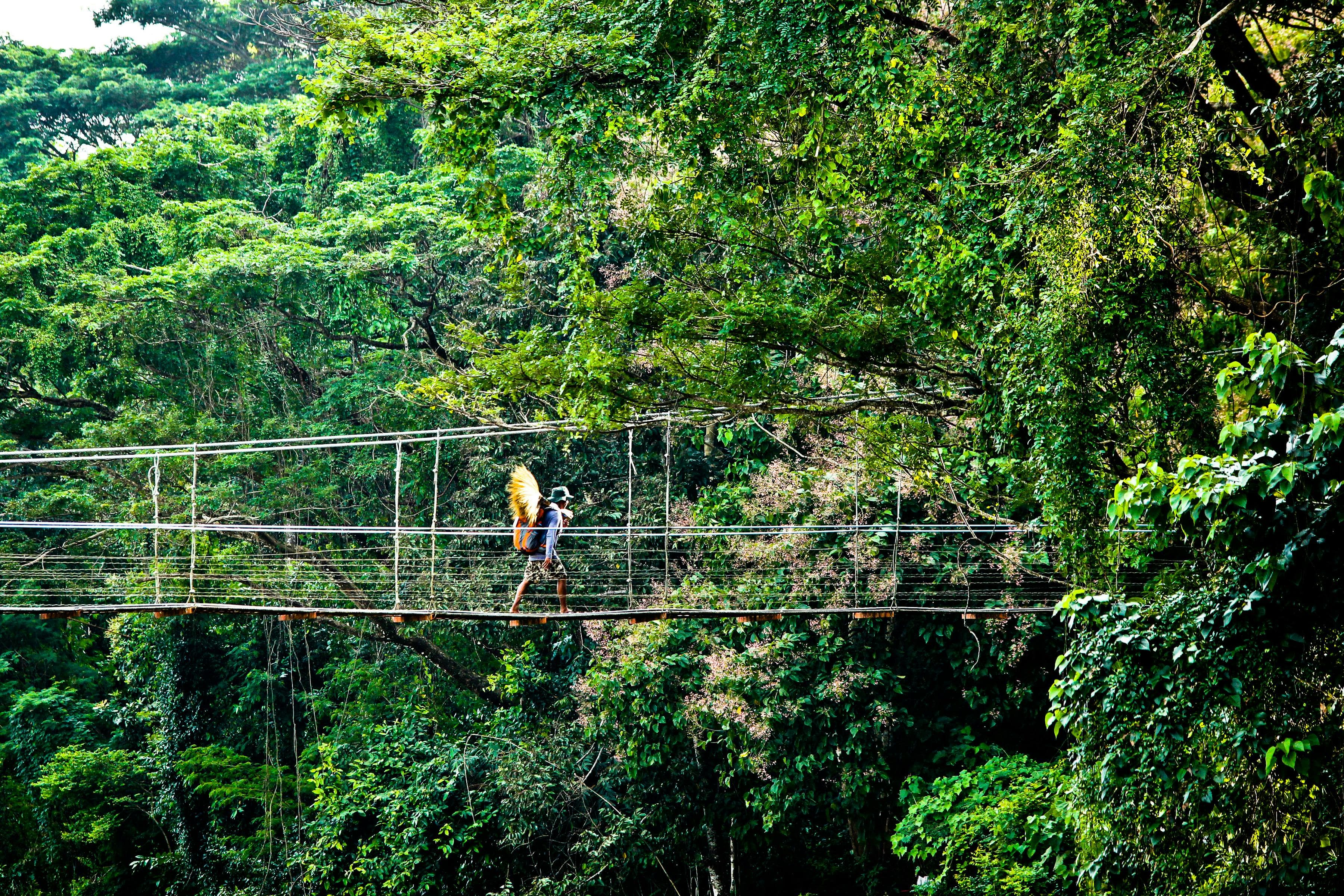 Kalimpong to Pelling via Offbeat Route