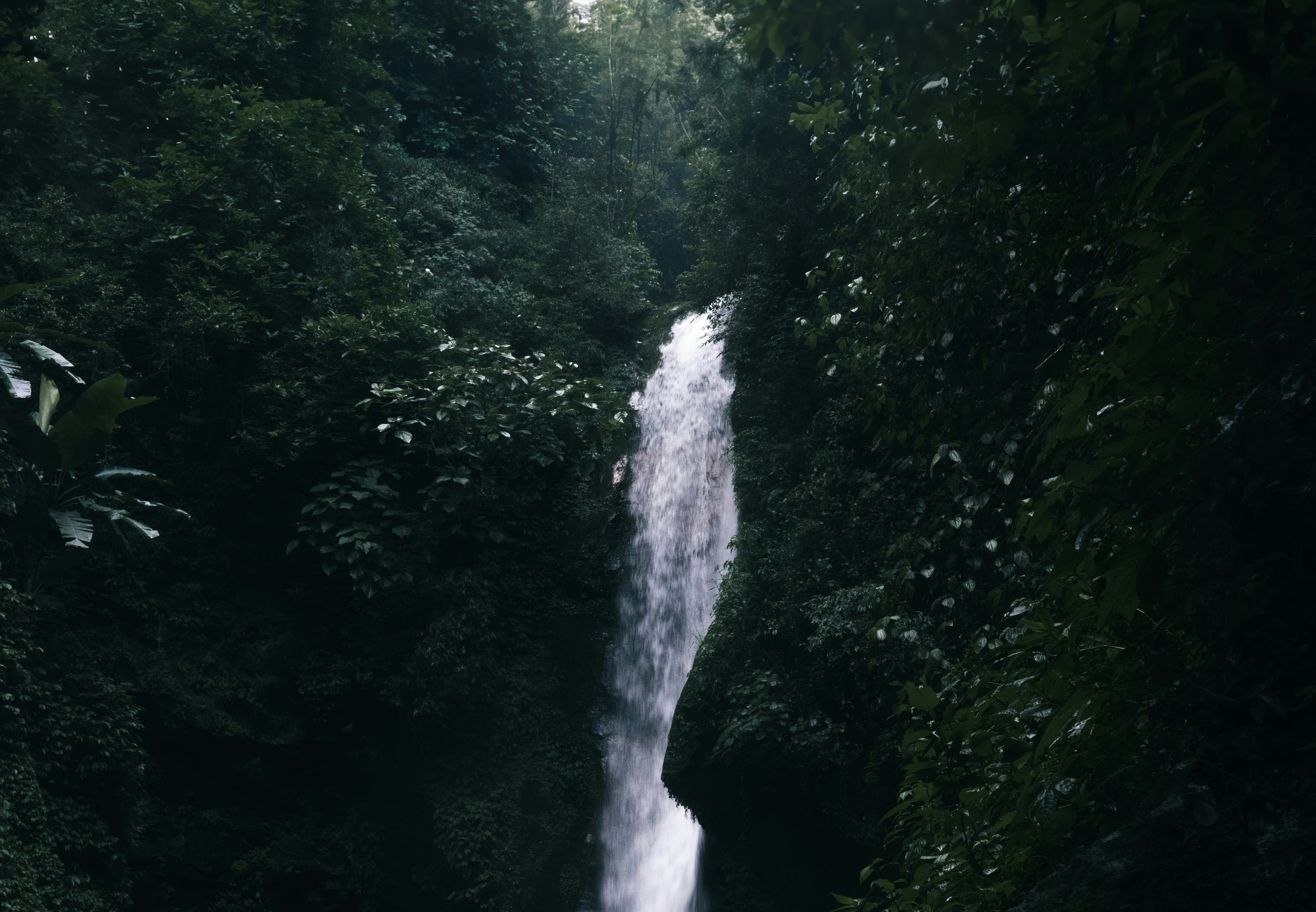 Upper Pelling Adventure Day