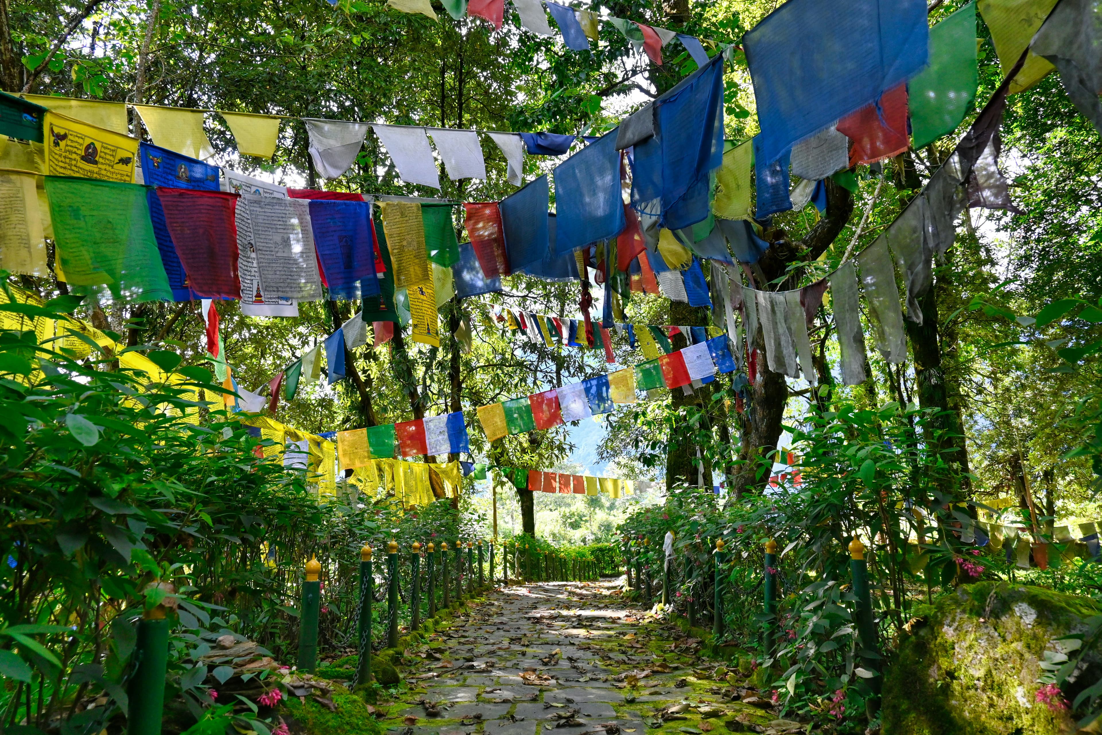 Yuksom Heritage Trek & River Picnic